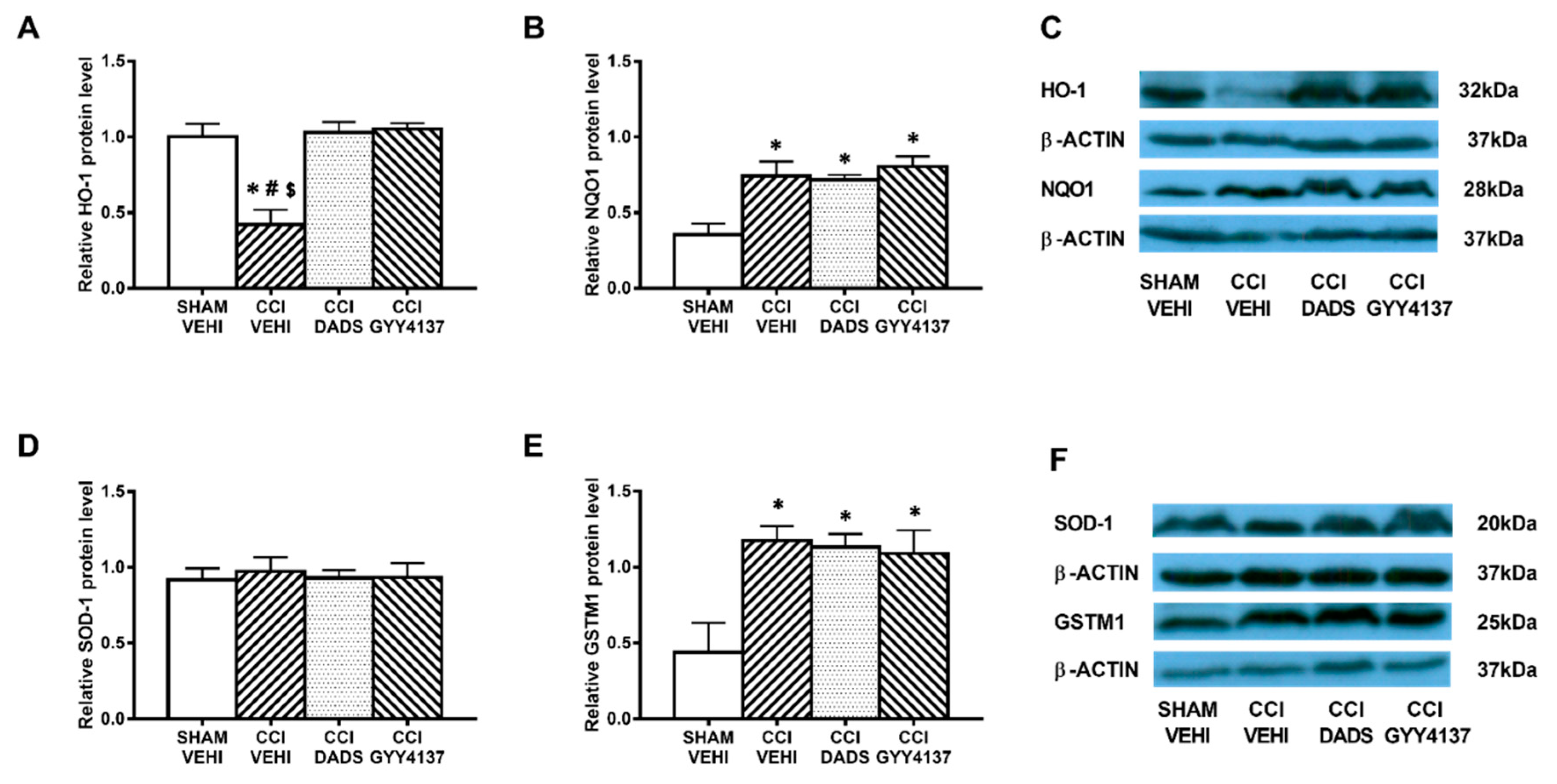 Antioxidants 10 01074 g006