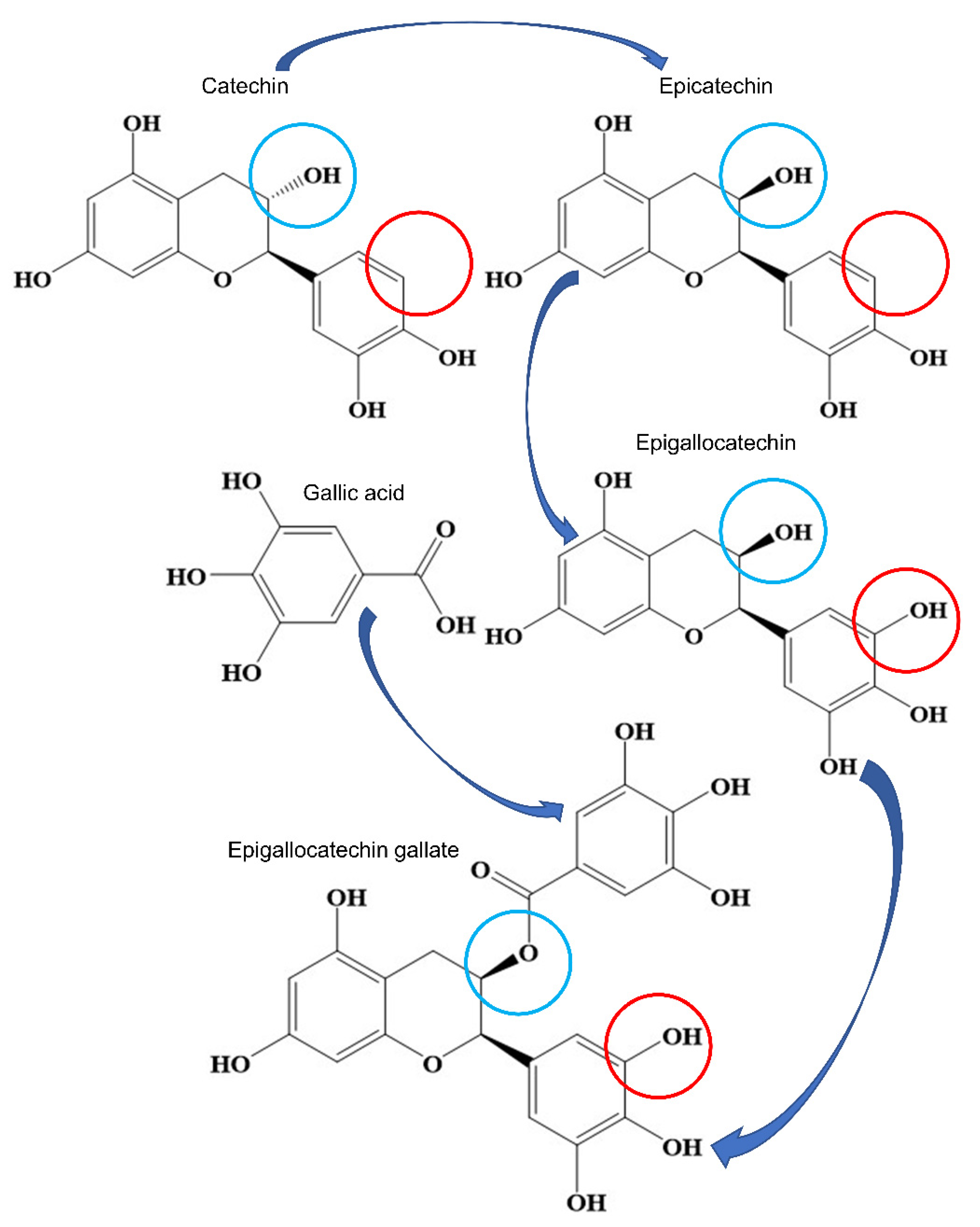 Antioxidants 10 01076 g001