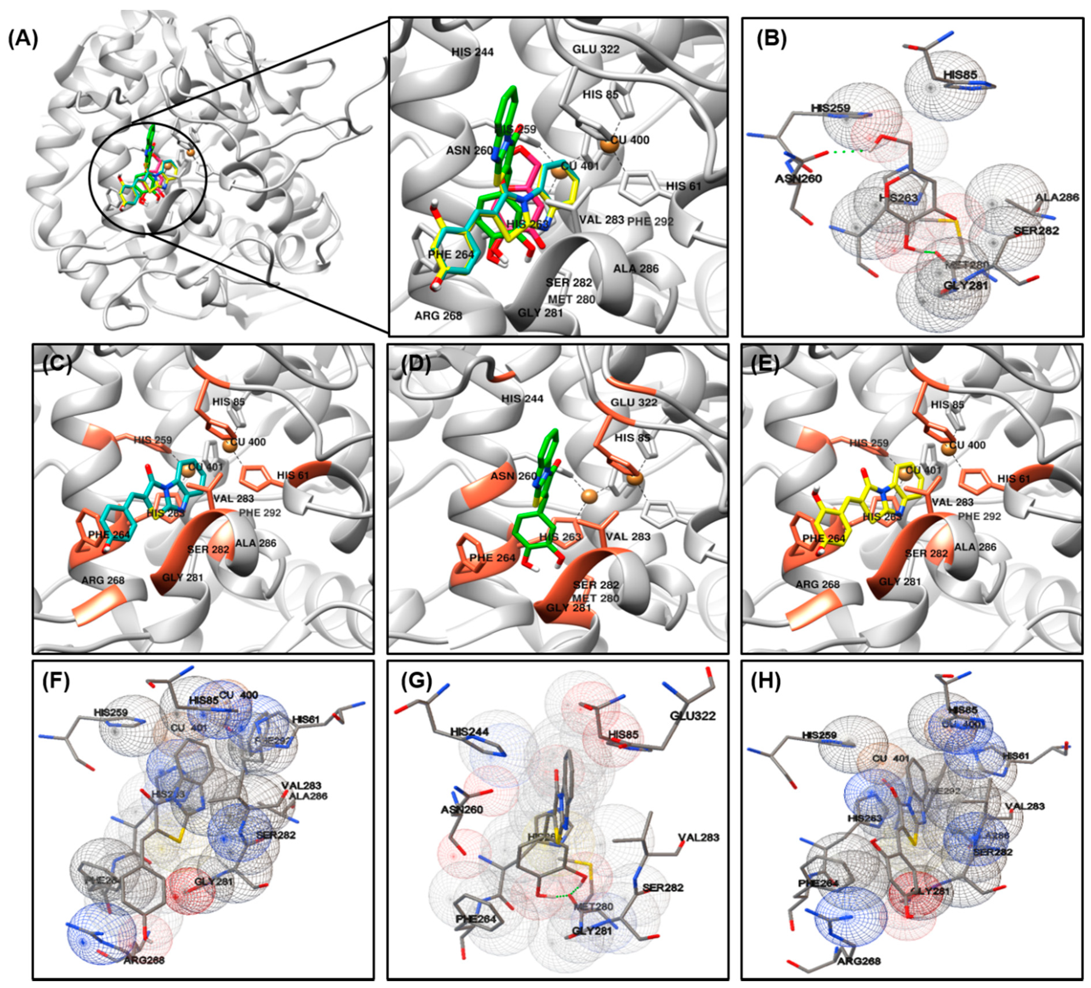 Antioxidants 10 01078 g003