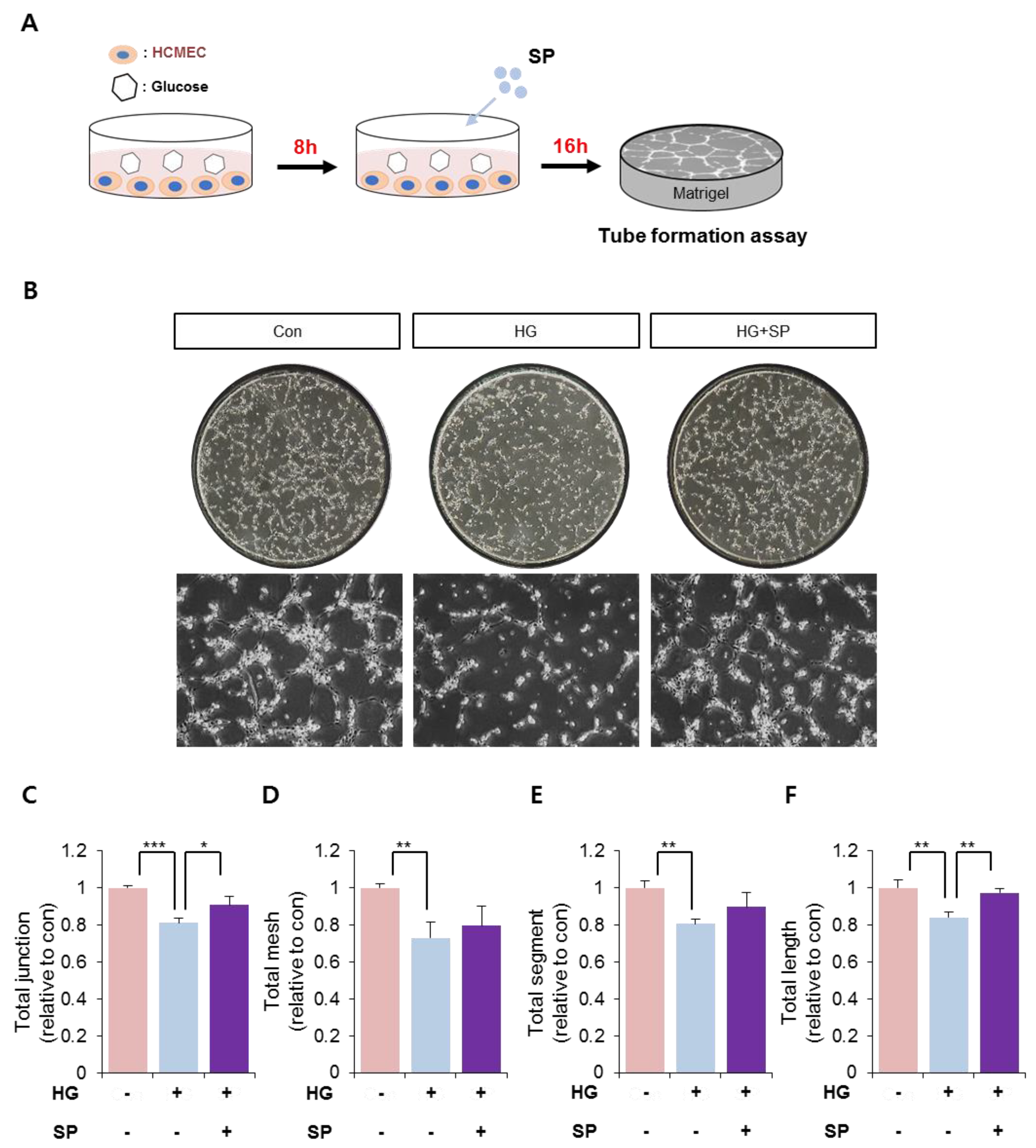 Antioxidants 10 01084 g005