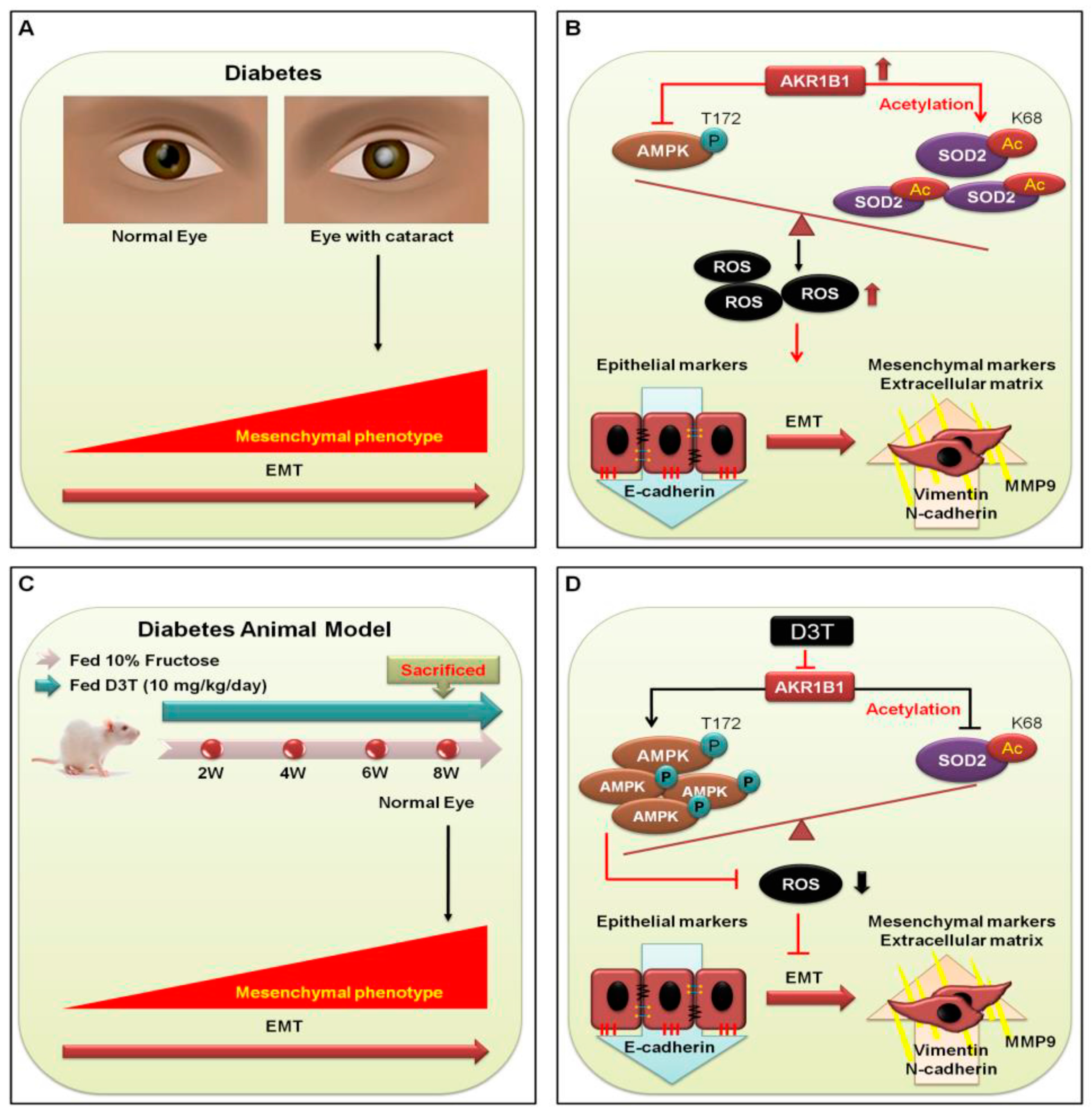 Antioxidants 10 01086 g005
