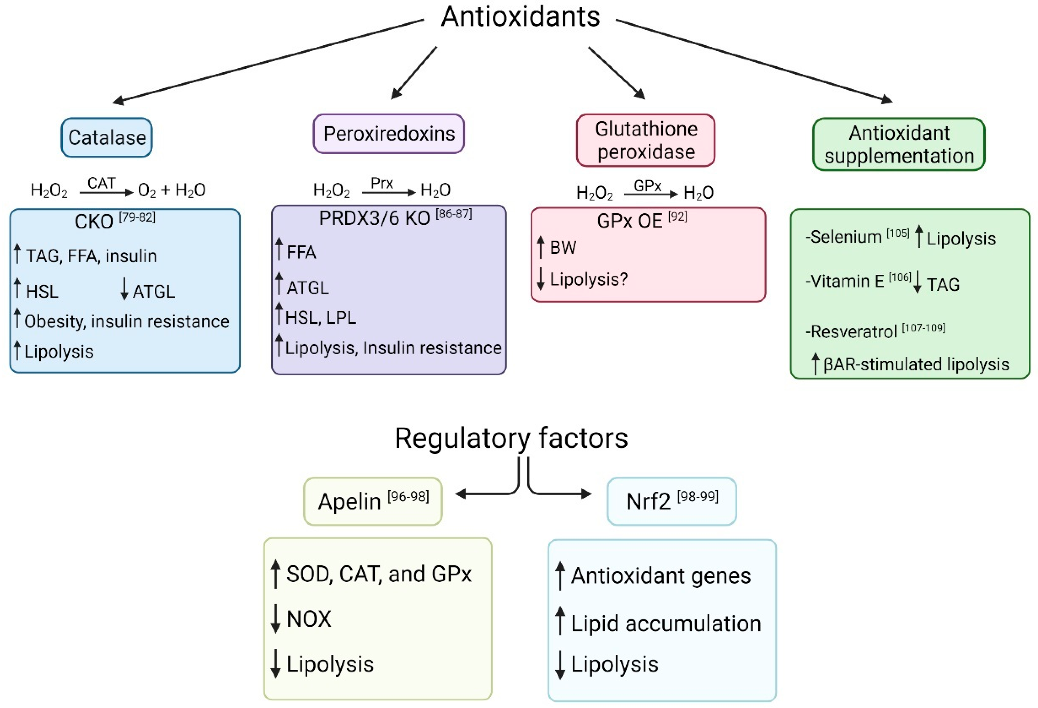 Antioxidants 10 01090 g003 Antioxidants 10 01090 g003