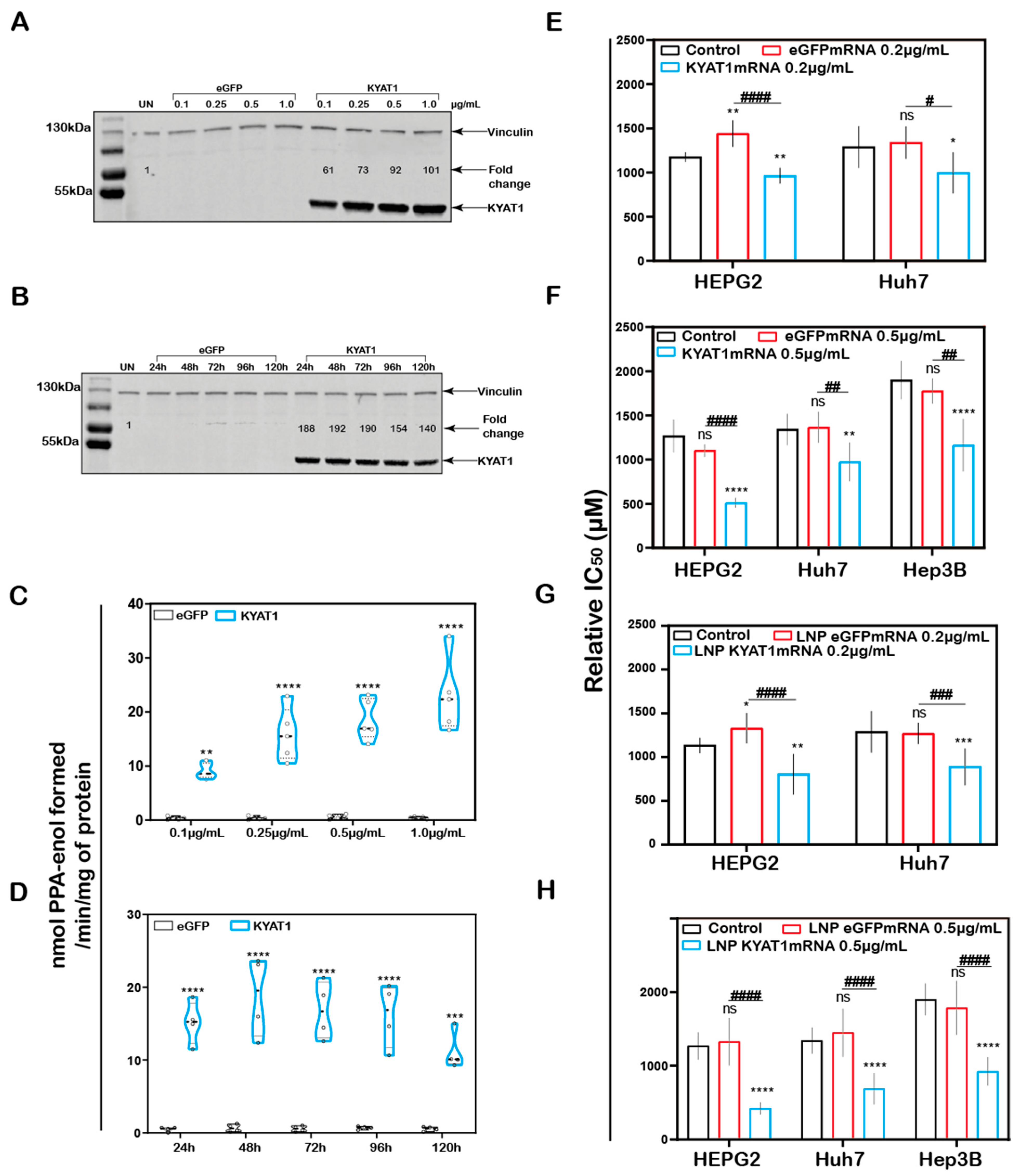 Antioxidants 10 01094 g003