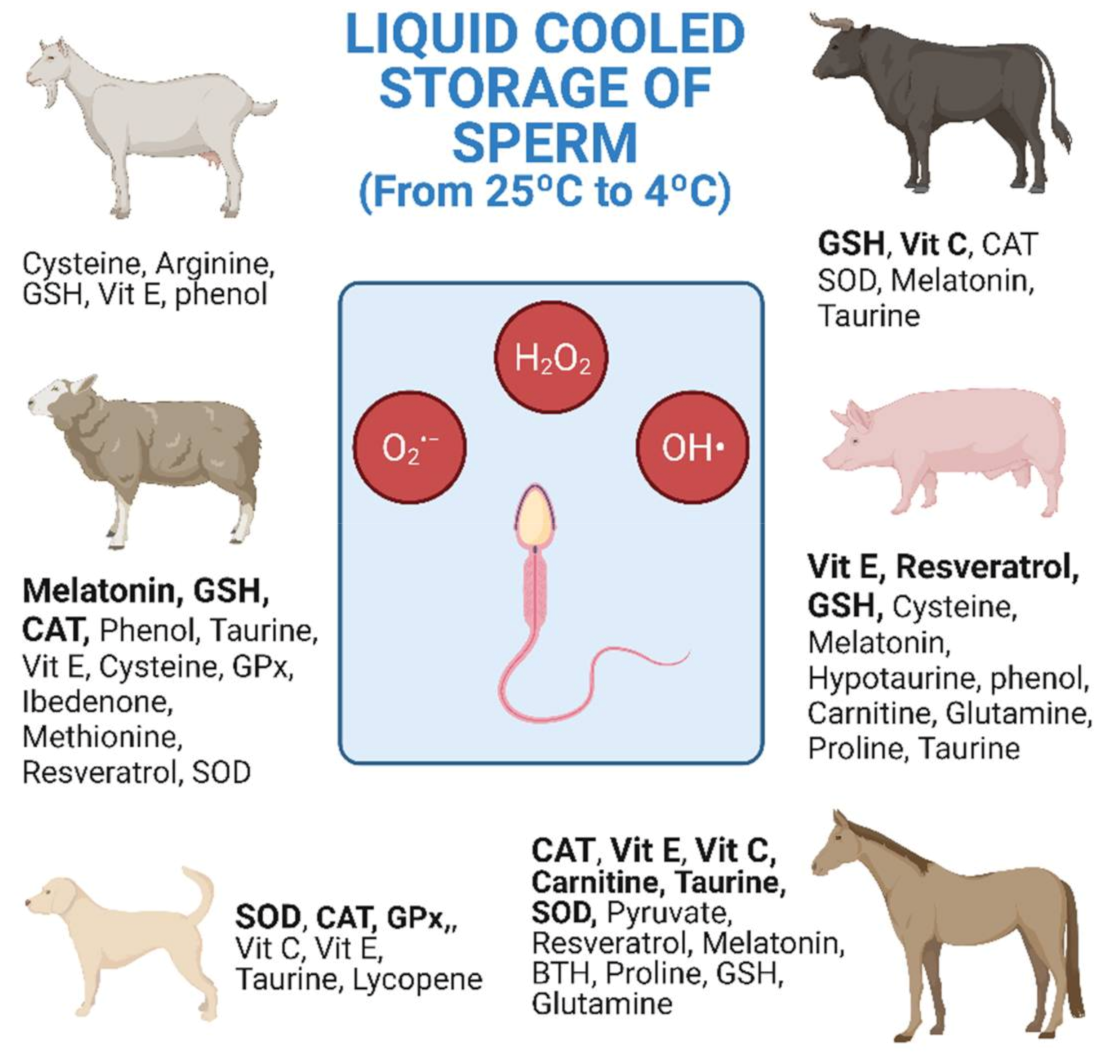 Antioxidants 10 01096 g001