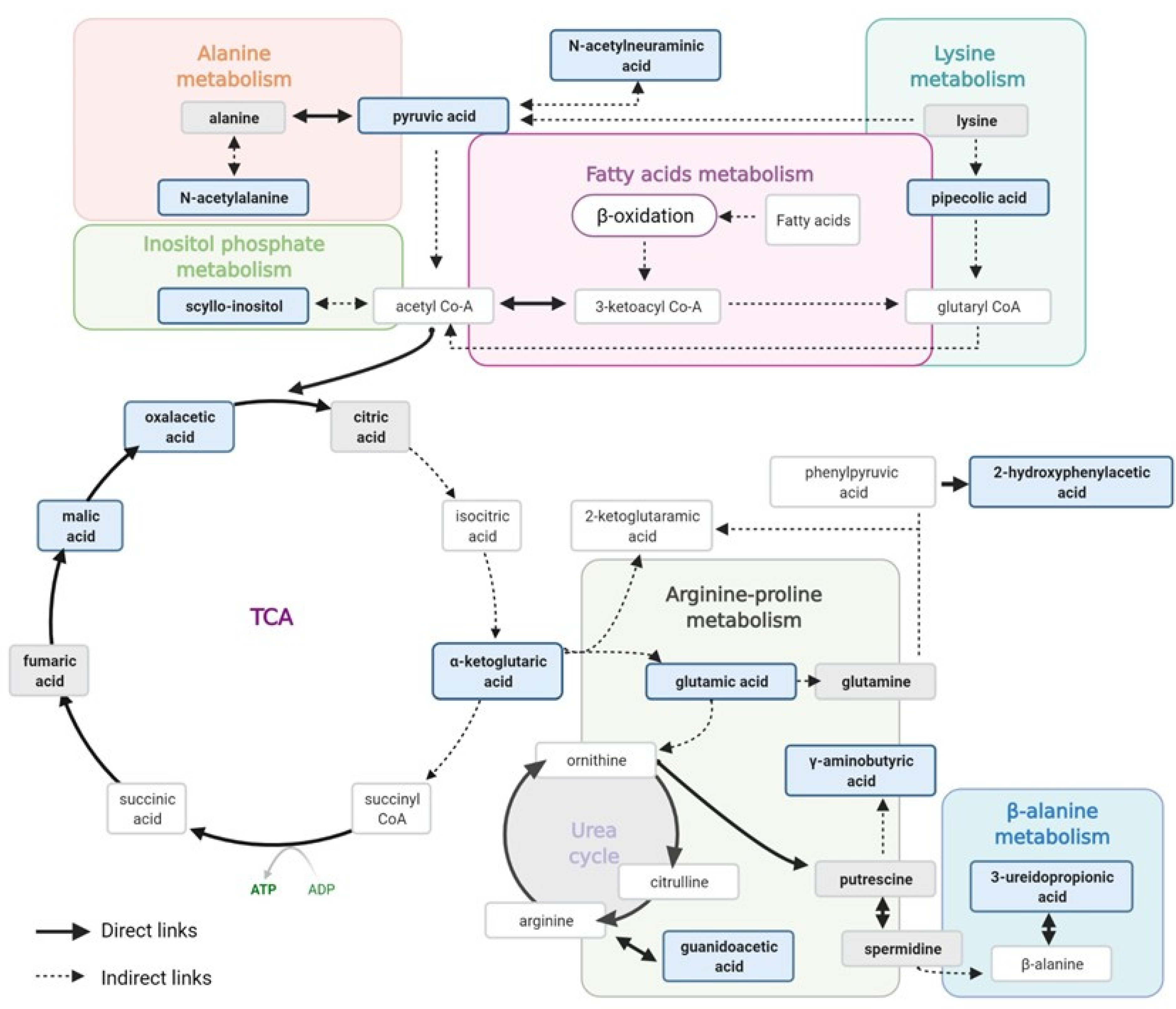 Antioxidants 10 01100 g002