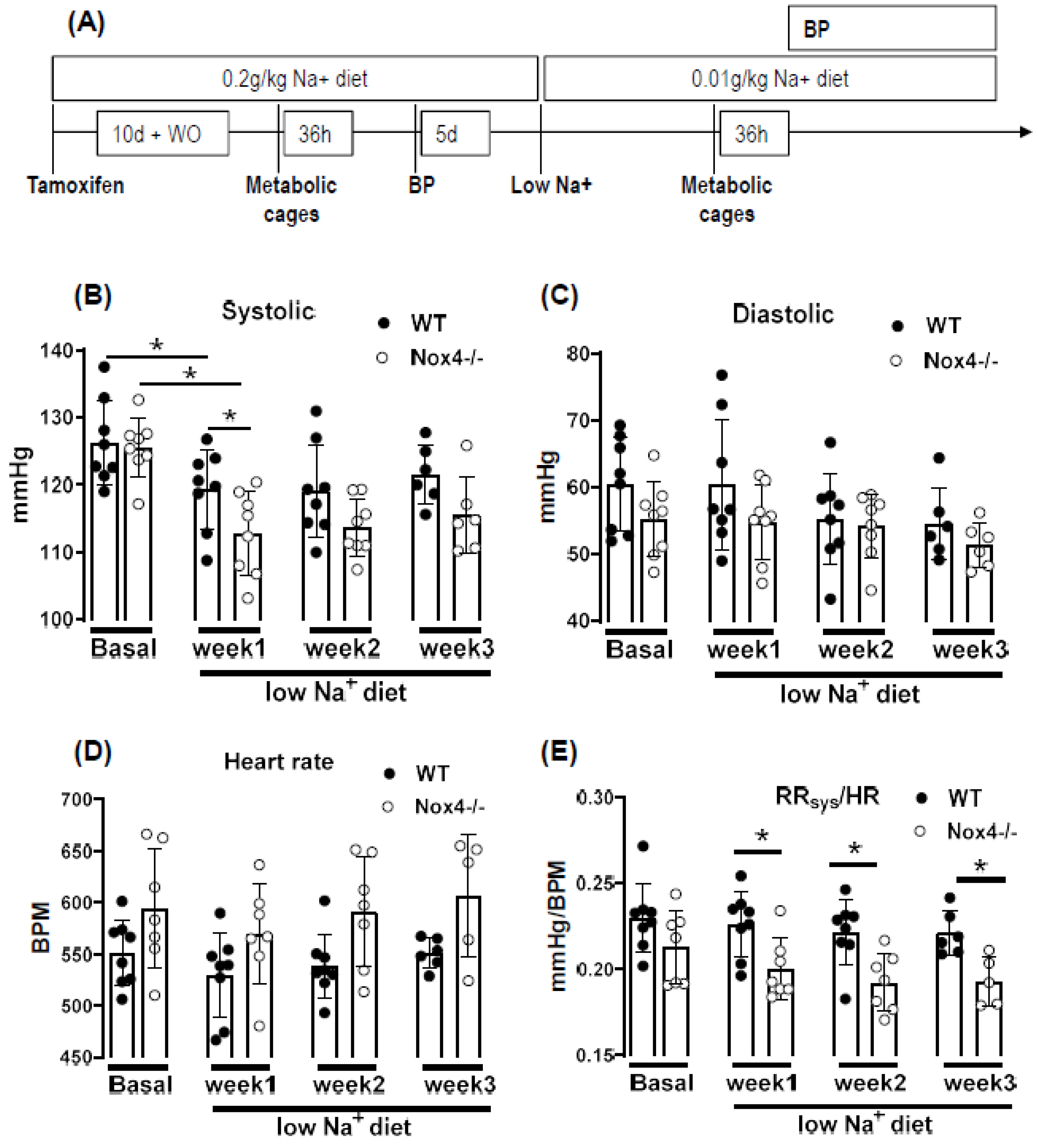 Antioxidants 10 01103 g002a