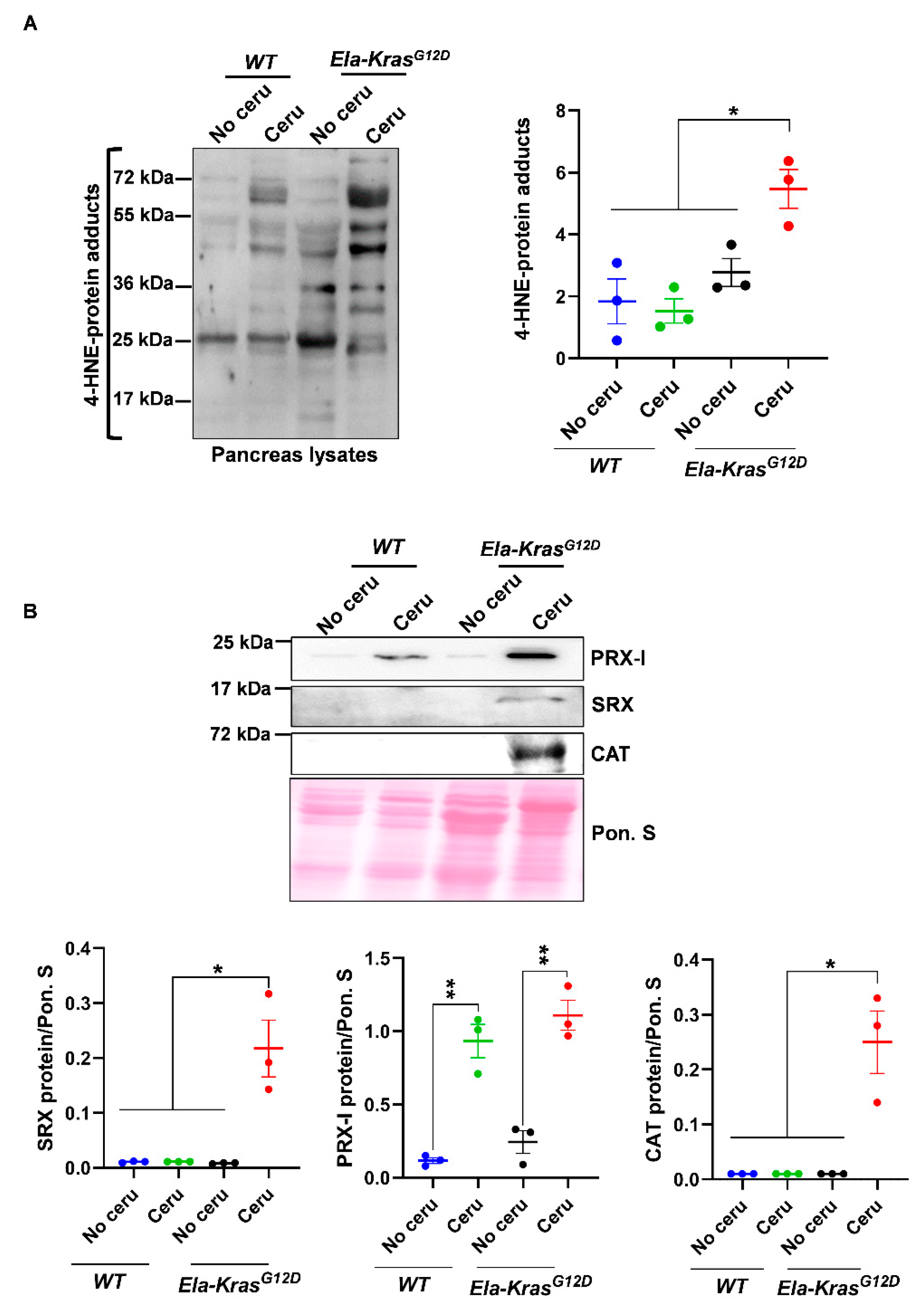 Antioxidants 10 01107 g001