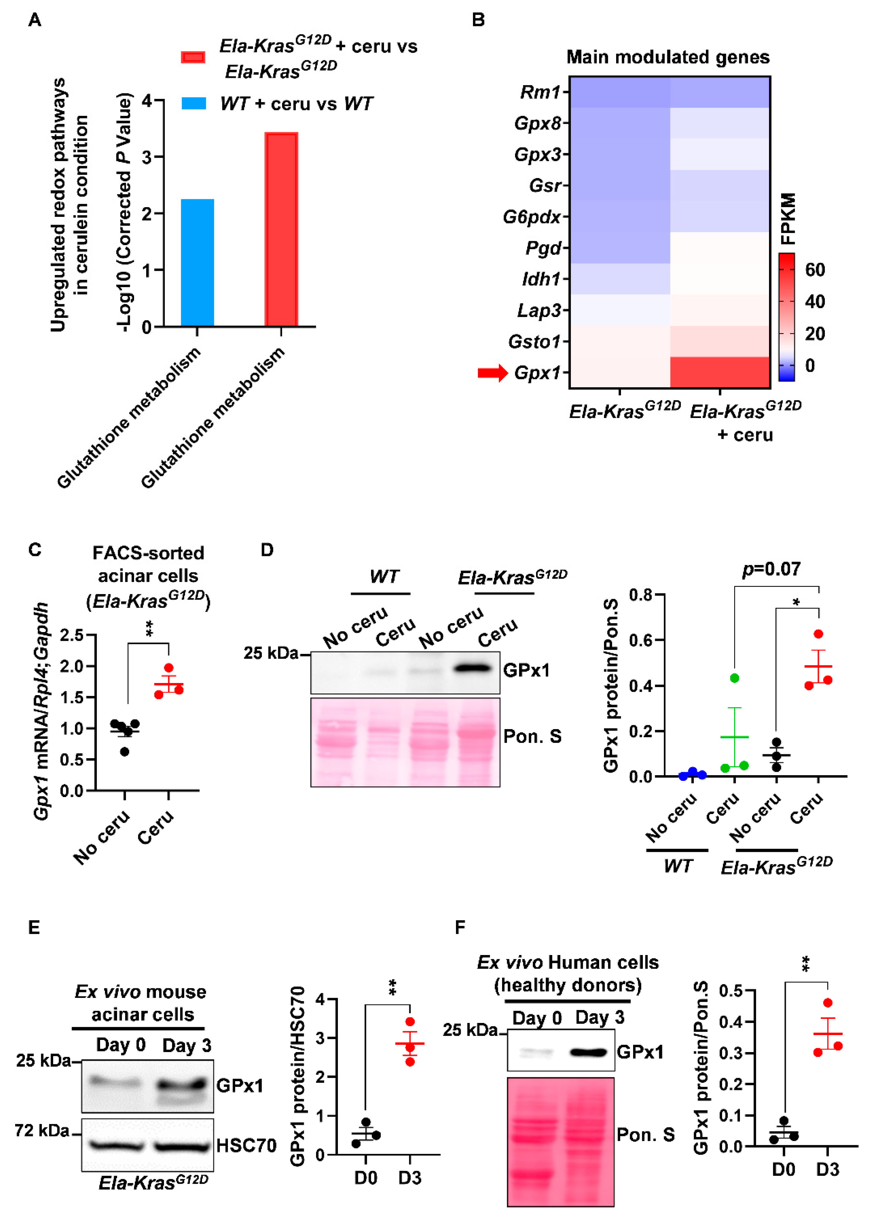 Antioxidants 10 01107 g002