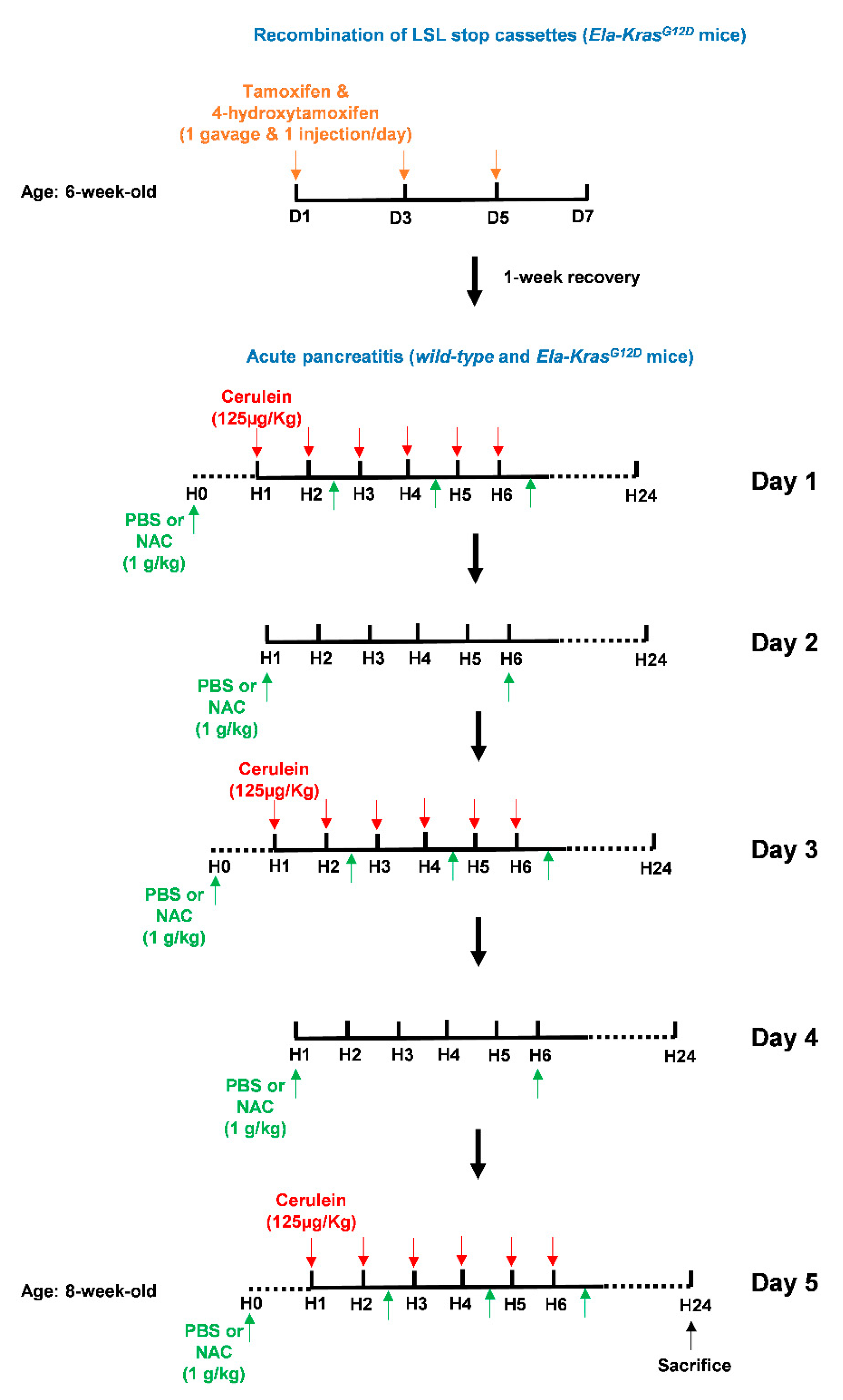 Antioxidants 10 01107 g003