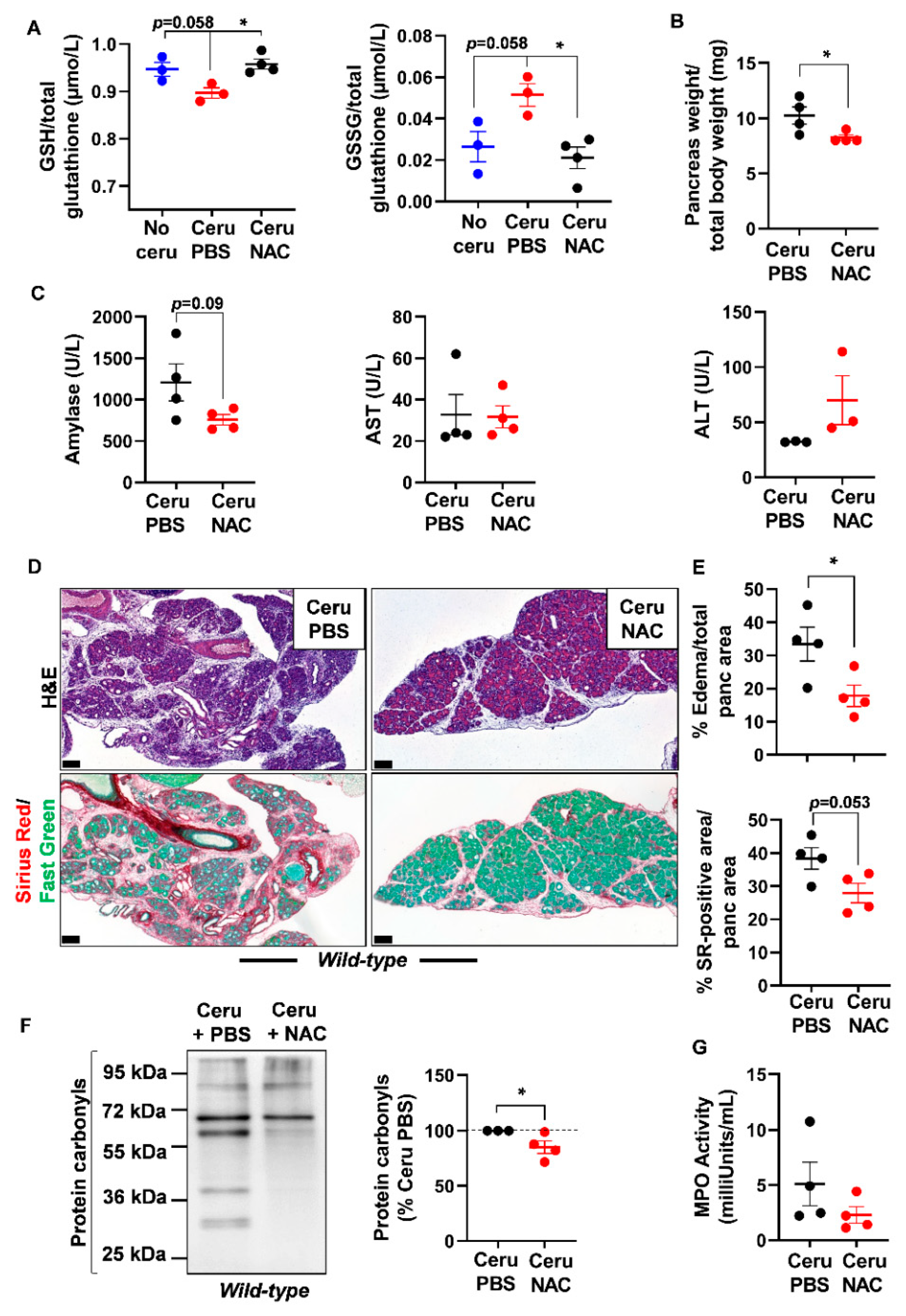 Antioxidants 10 01107 g004