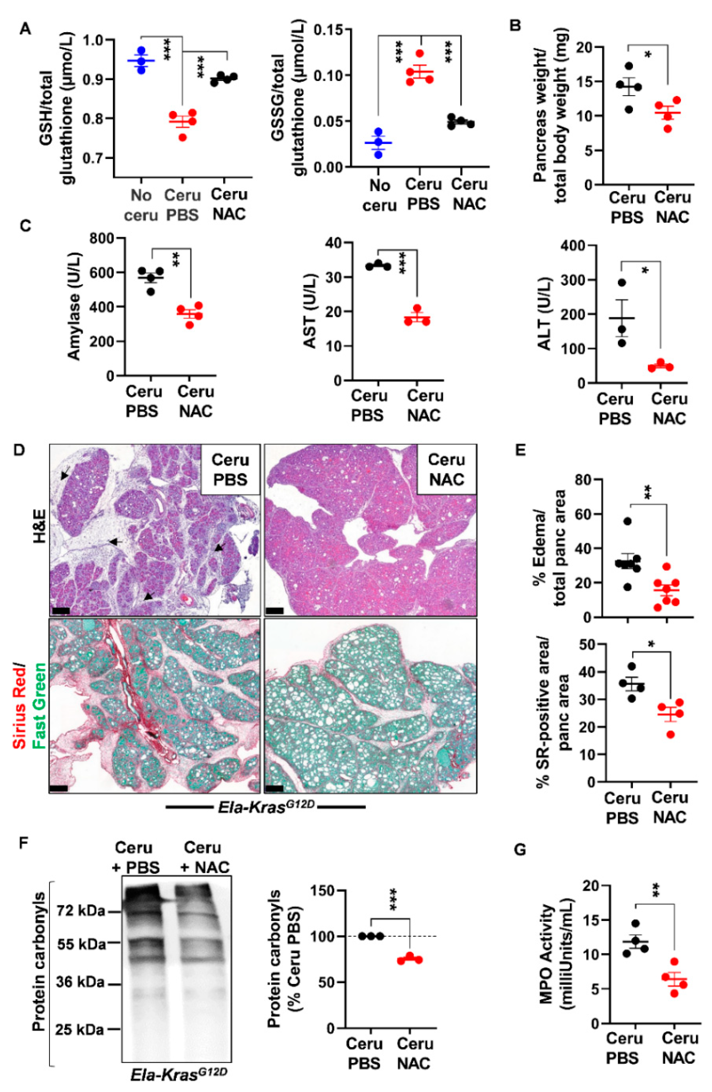 Antioxidants 10 01107 g005