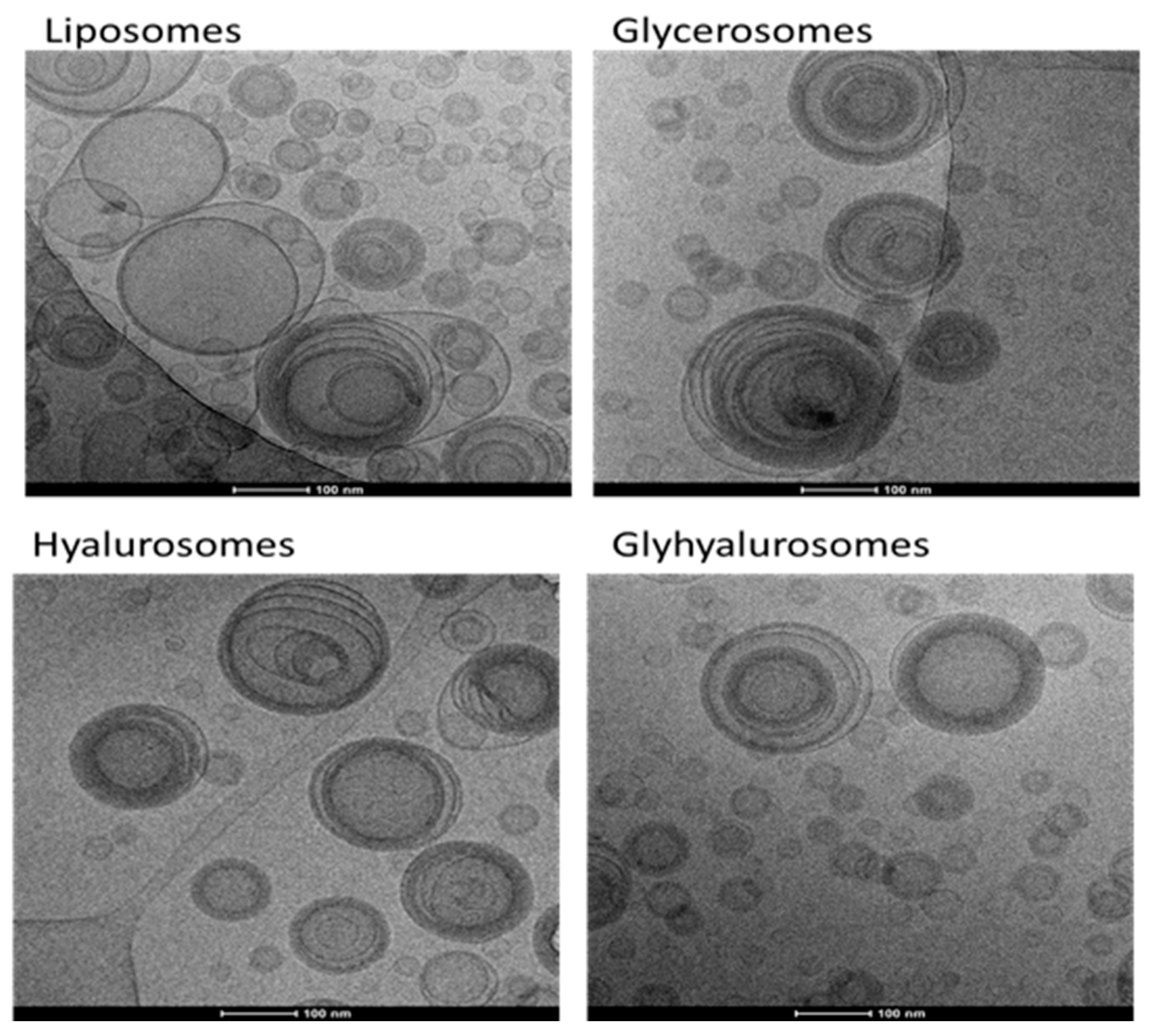 Antioxidants 10 01109 g002