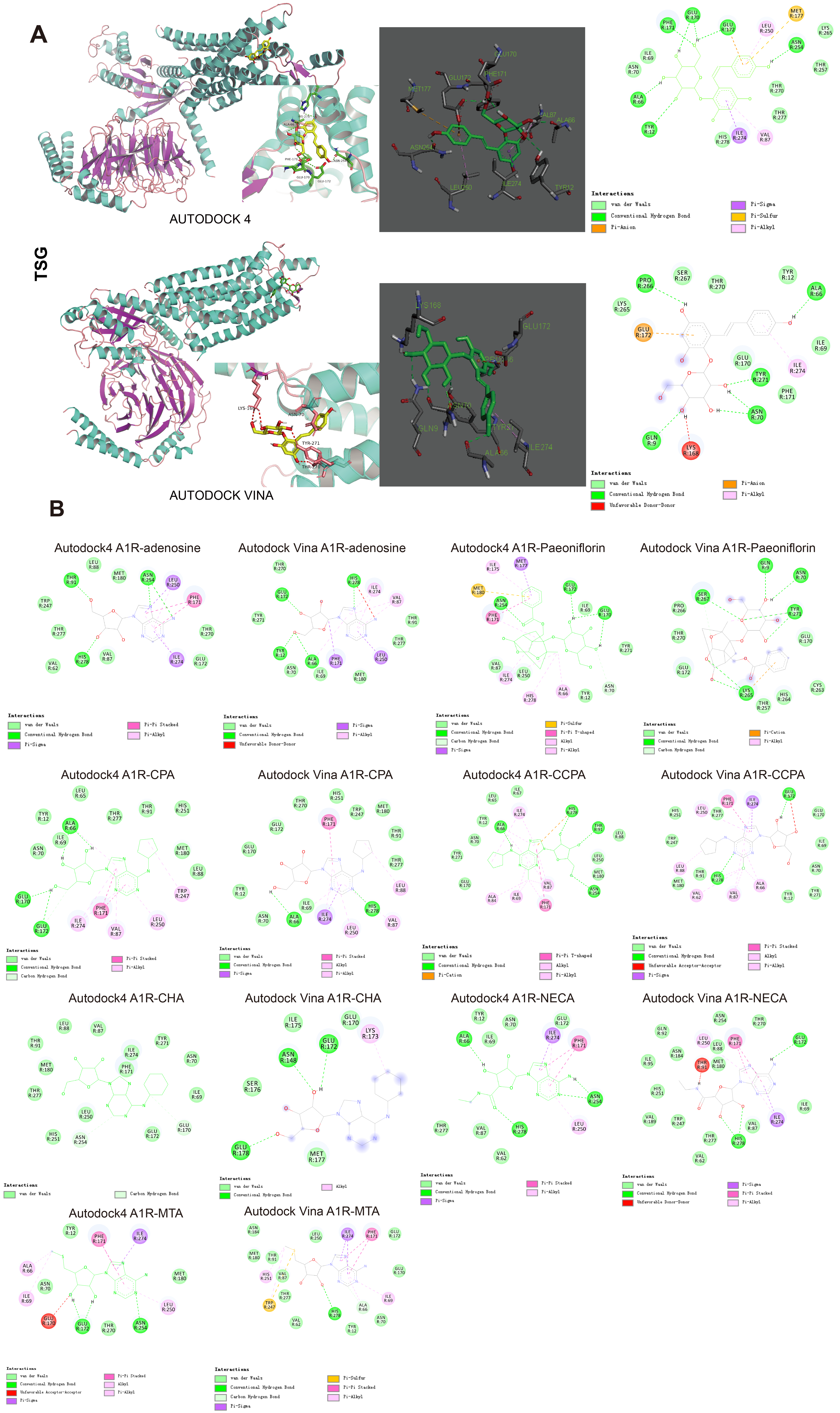 Antioxidants 10 01112 g005 Antioxidants 10 01112 g005