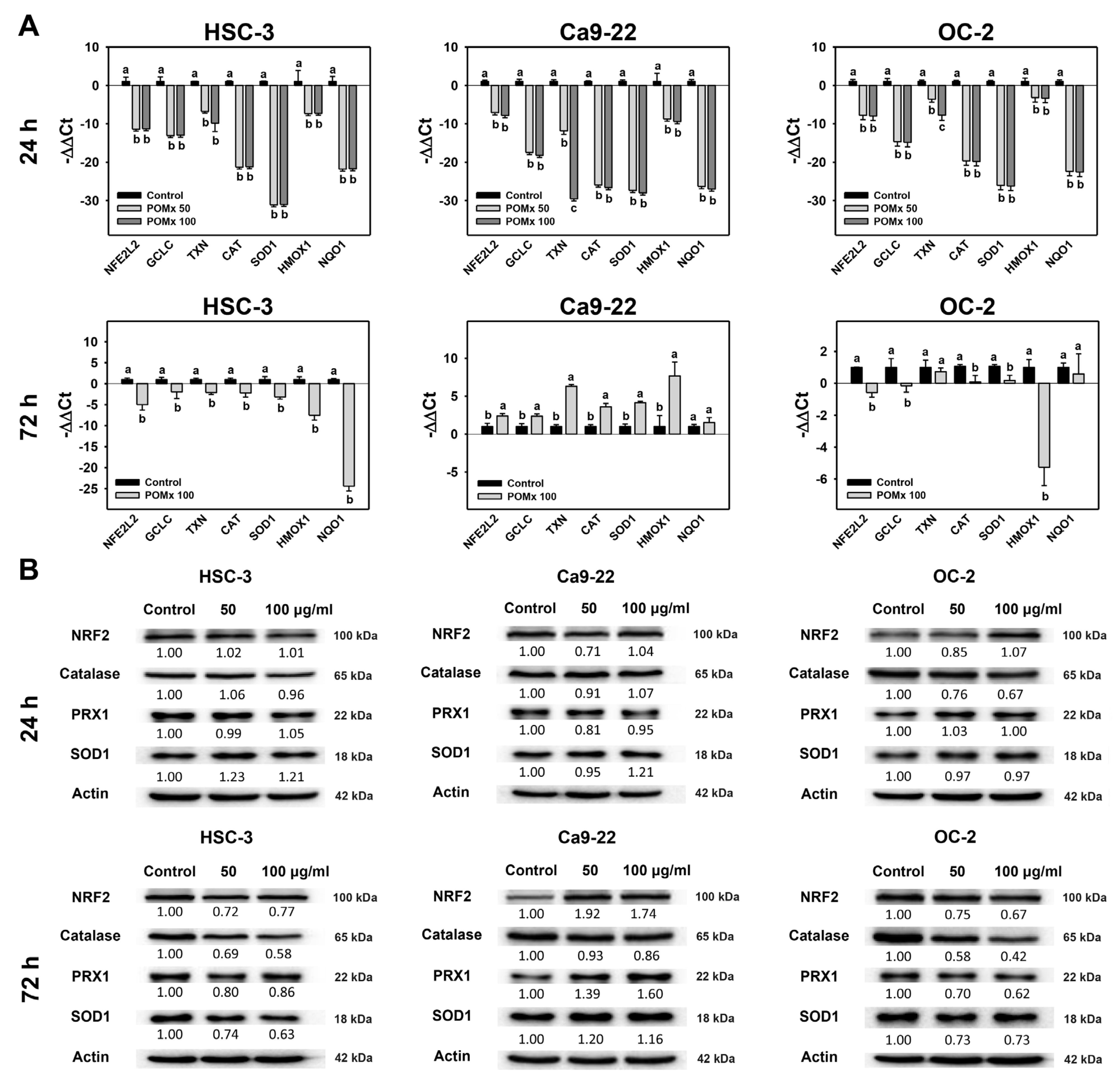 Antioxidants 10 01117 g007