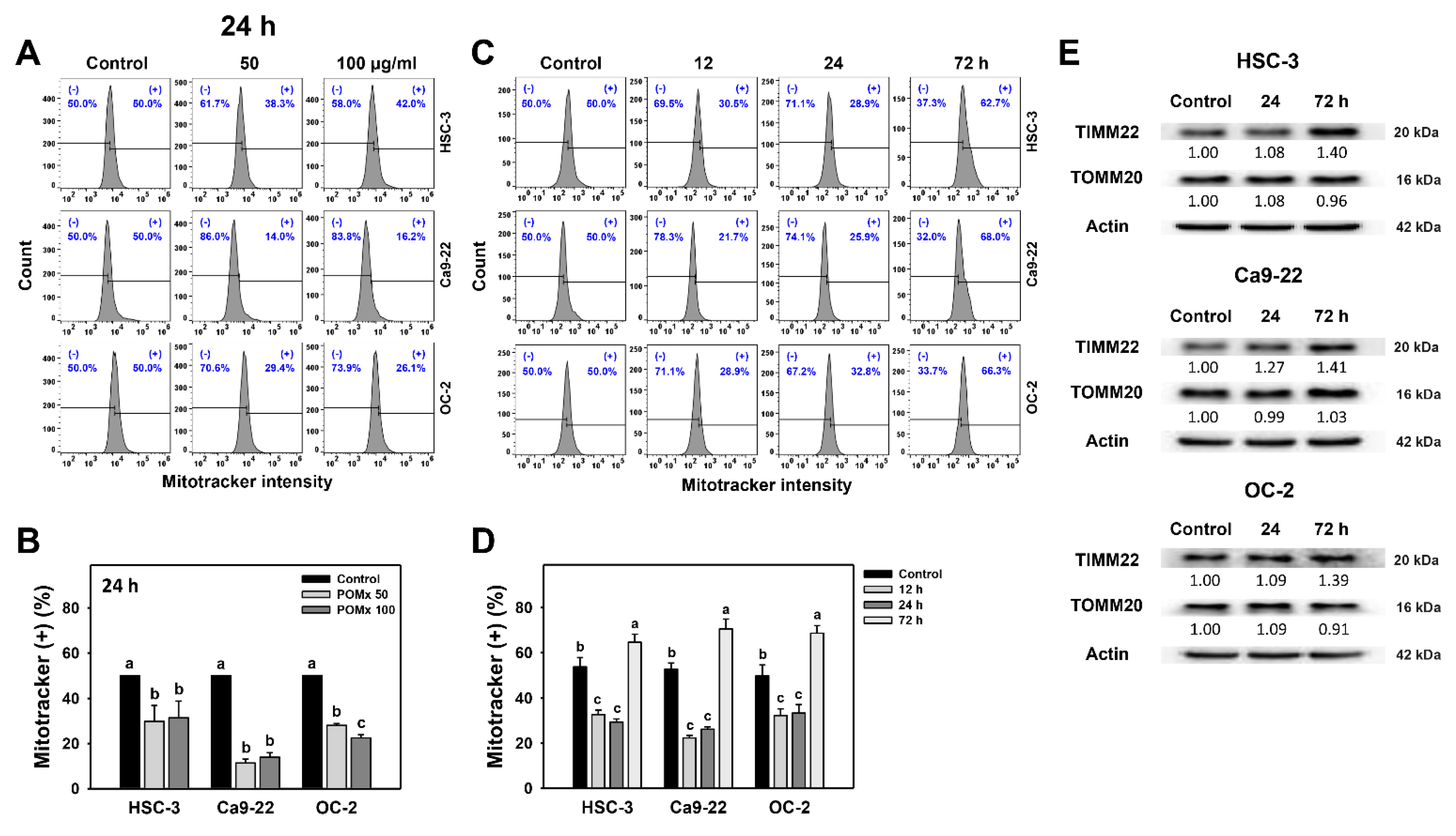 Antioxidants 10 01117 g008