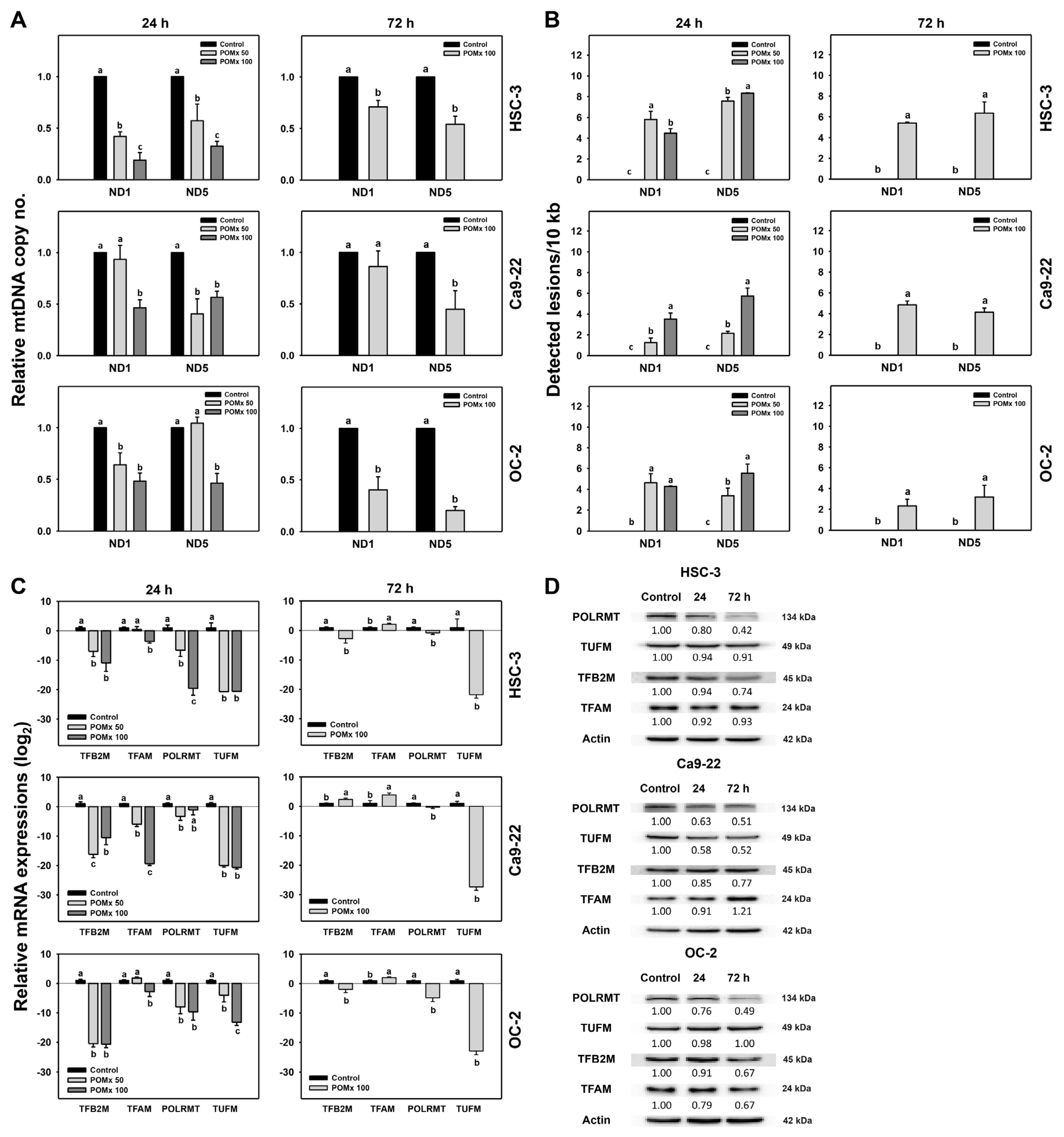 Antioxidants 10 01117 g009