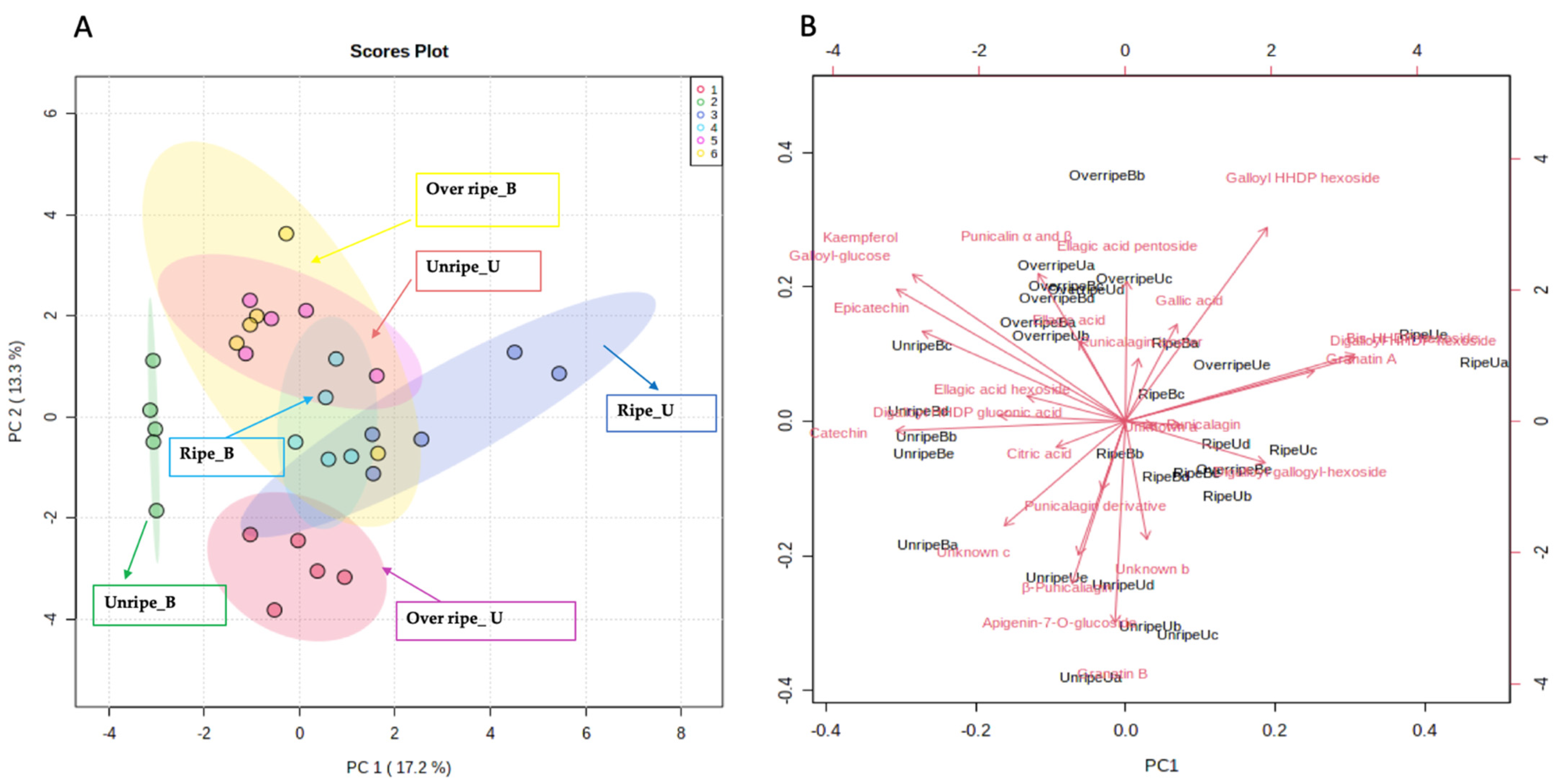 Antioxidants 10 01119 g001