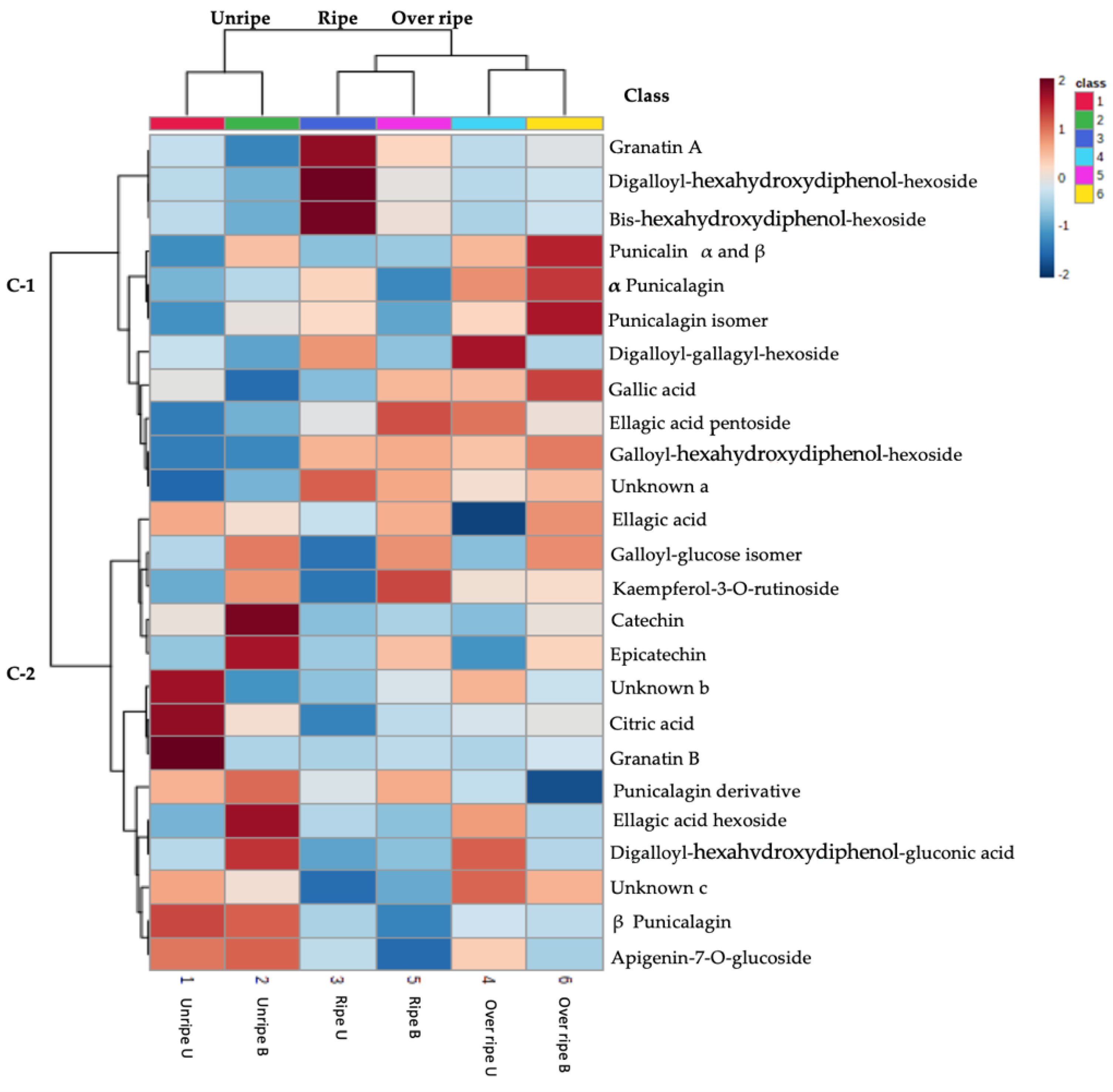 Antioxidants 10 01119 g002