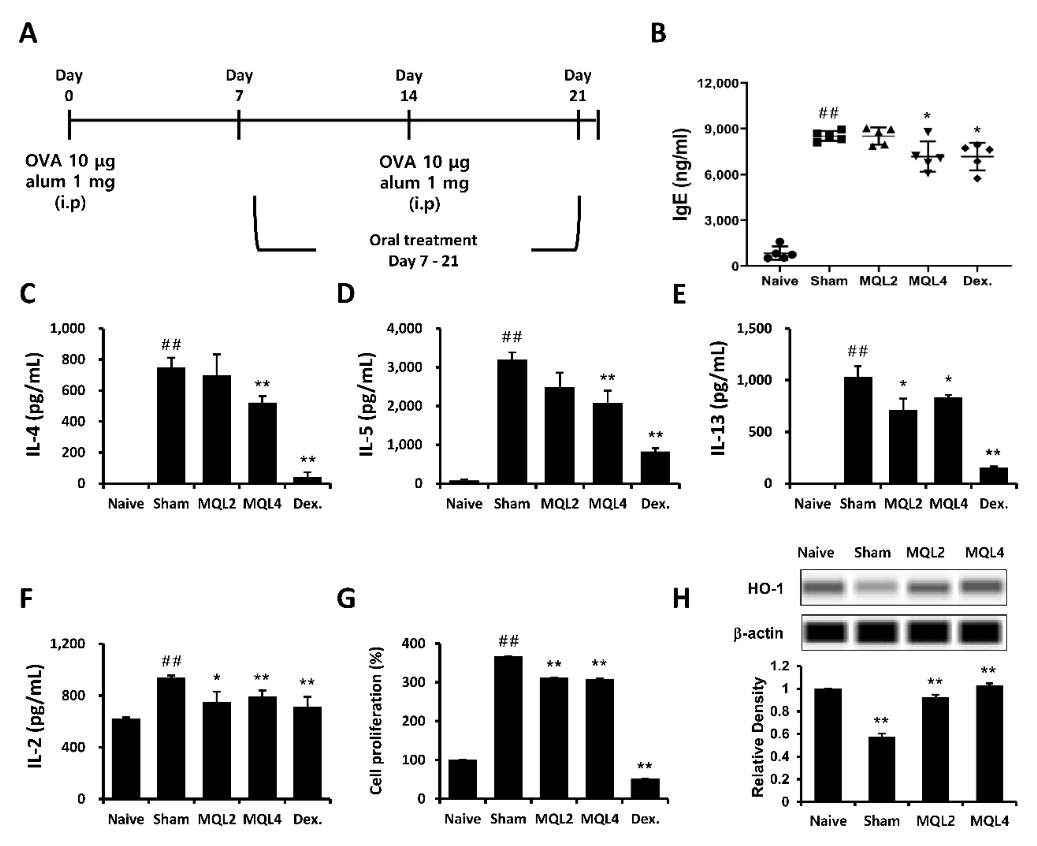 Antioxidants 10 01120 g001