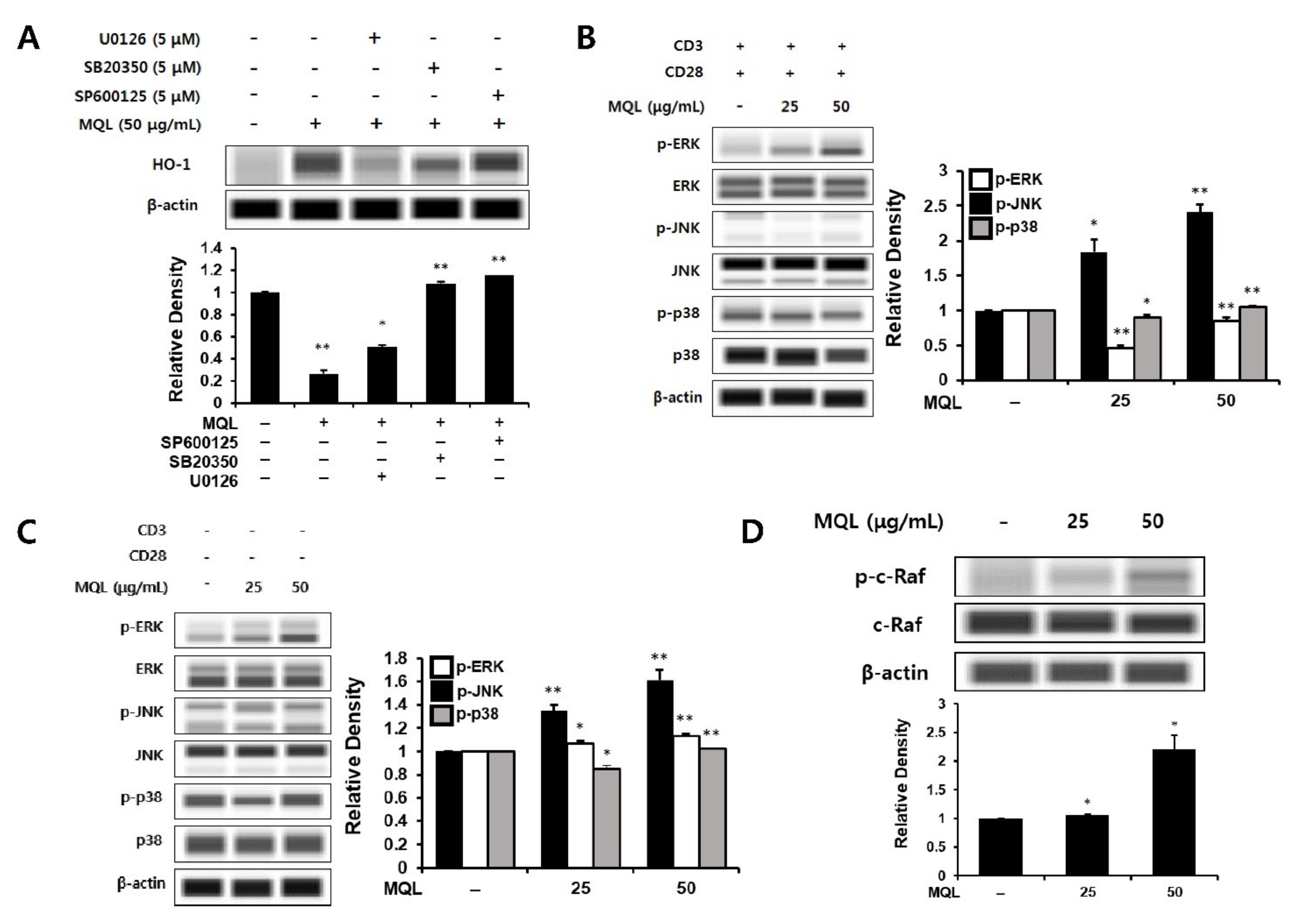 Antioxidants 10 01120 g004