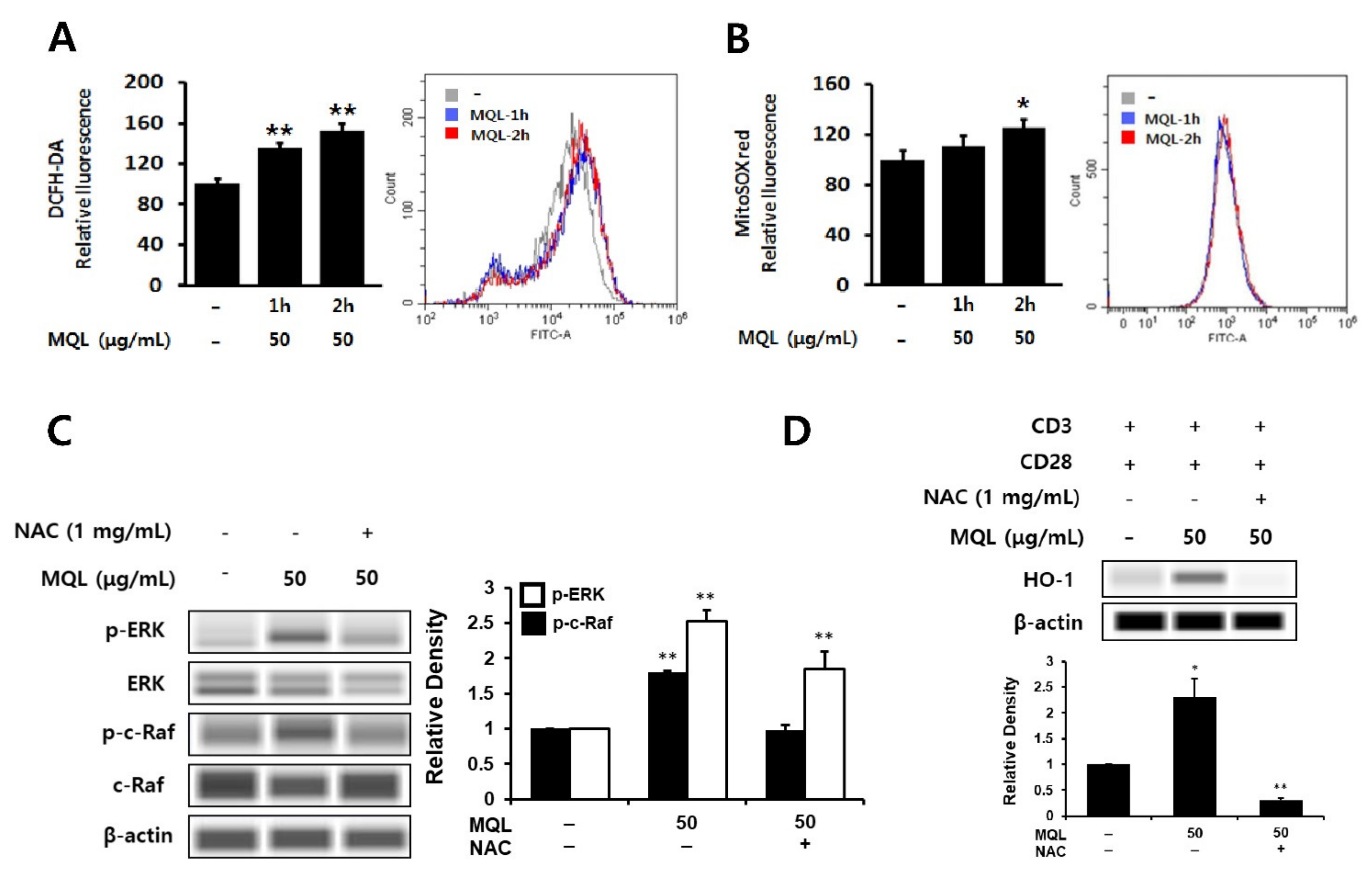 Antioxidants 10 01120 g005