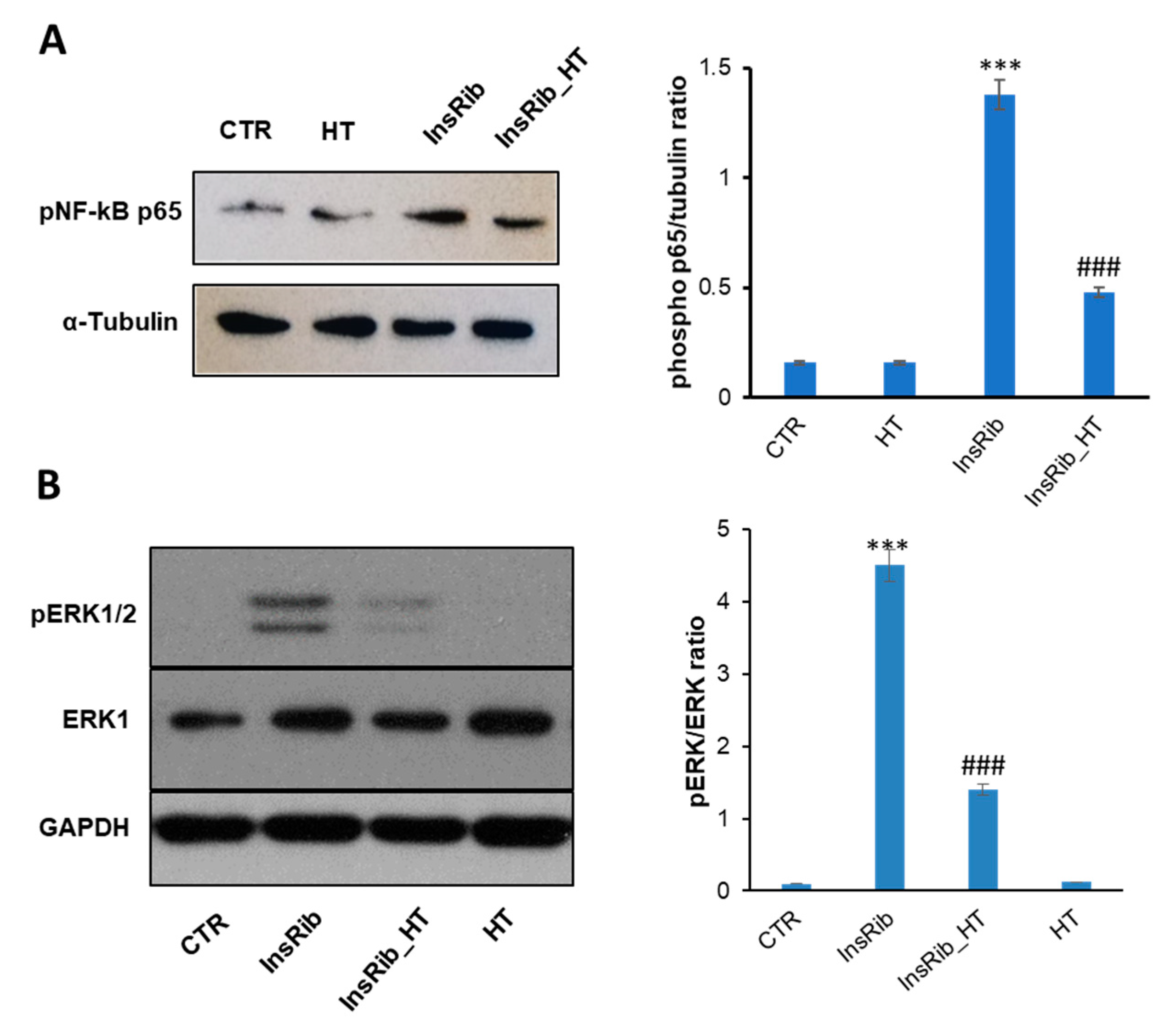 Antioxidants 10 01127 g008