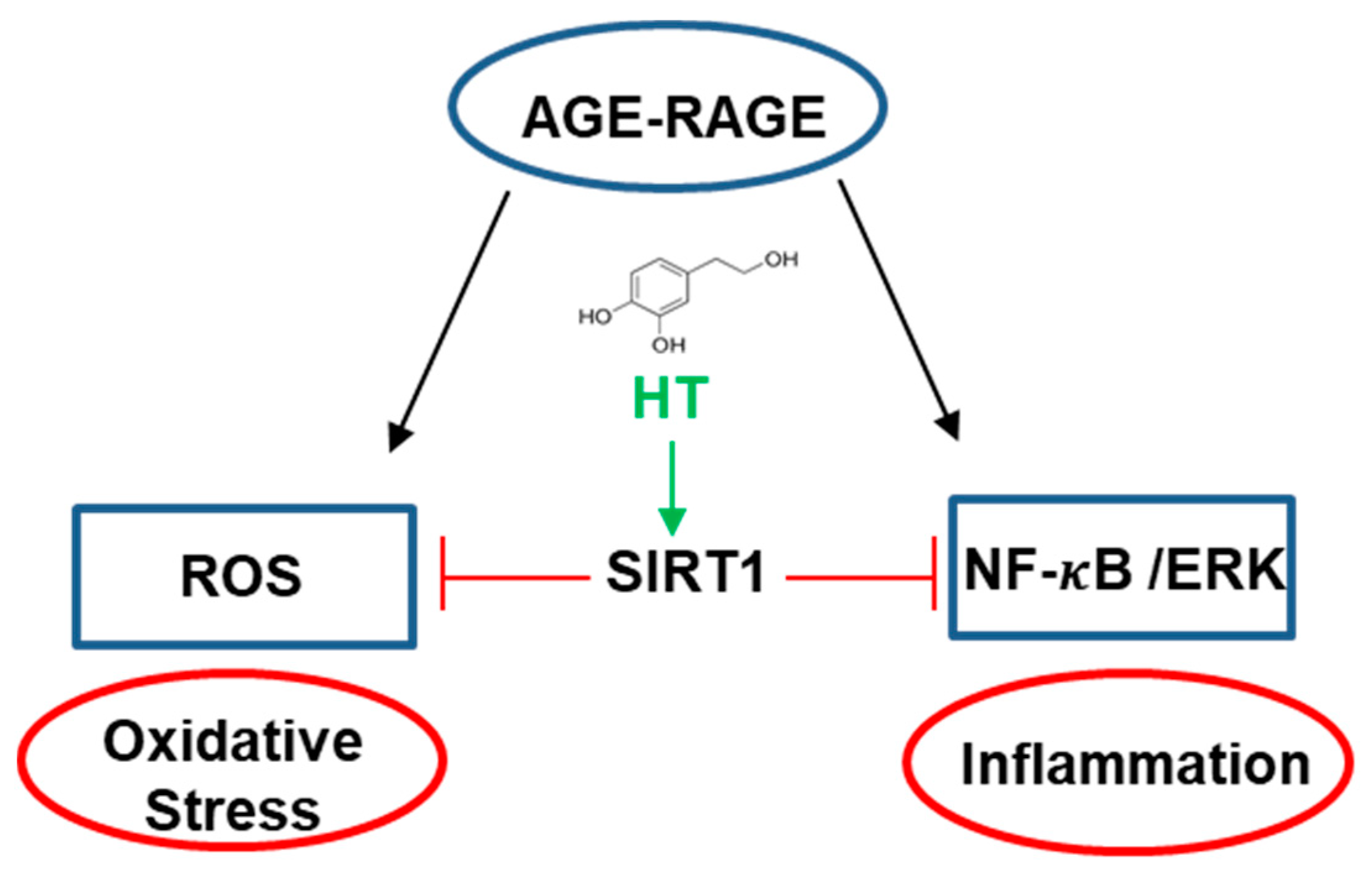 Antioxidants 10 01127 g009