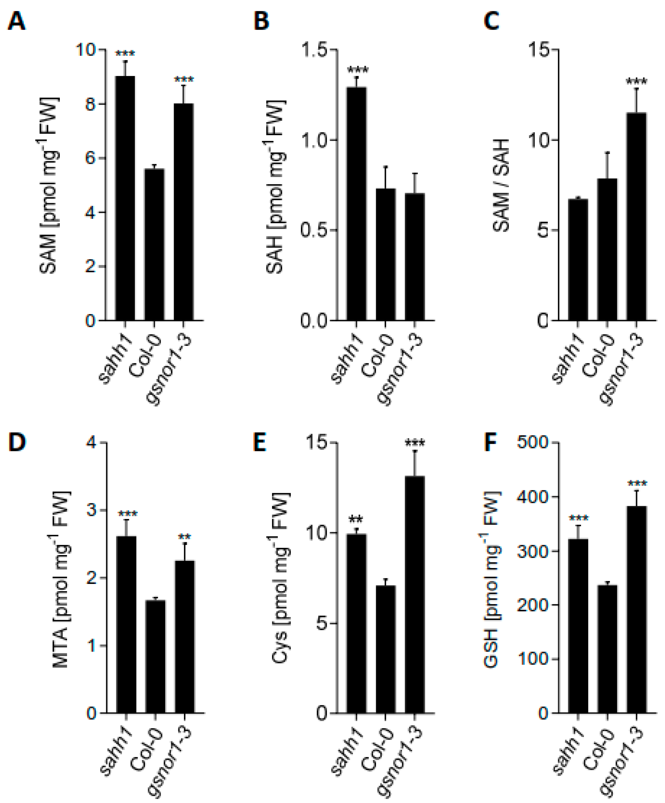 Antioxidants 10 01128 g001