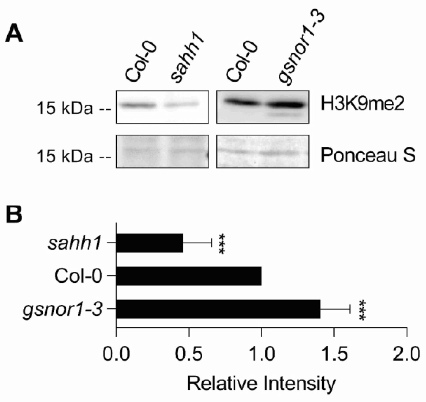 Antioxidants 10 01128 g002