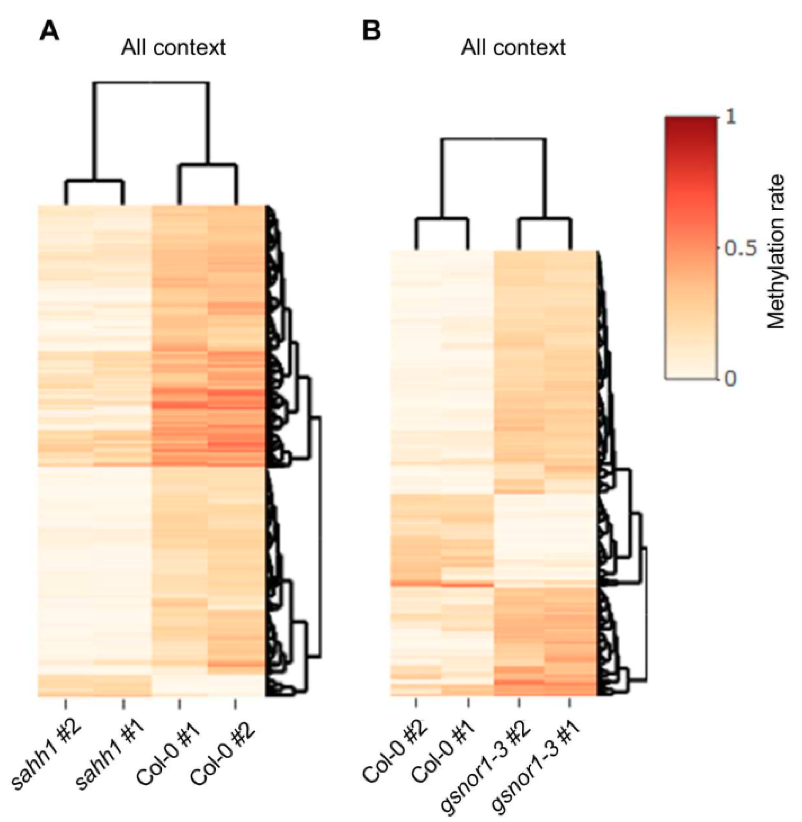 Antioxidants 10 01128 g005
