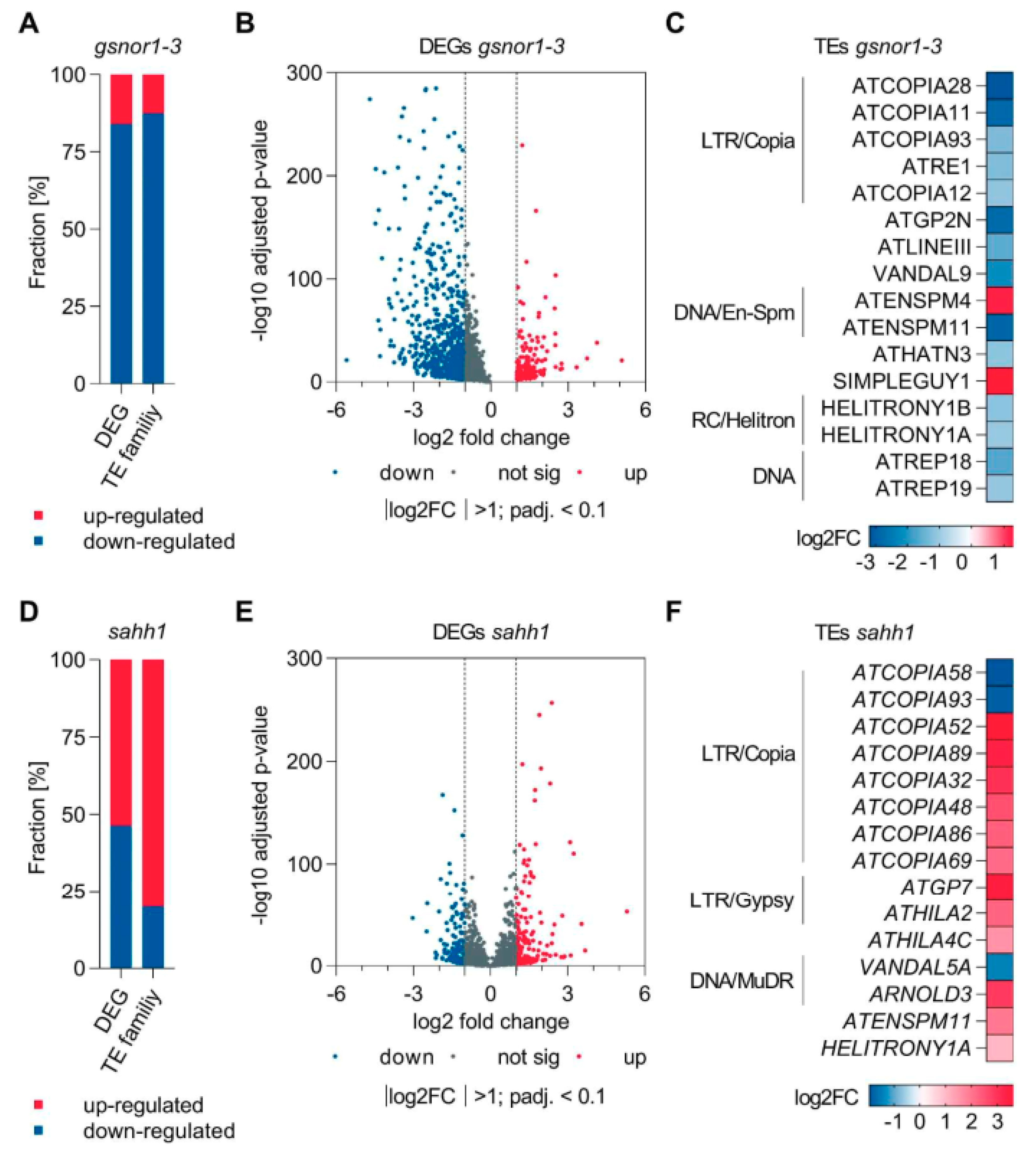 Antioxidants 10 01128 g008