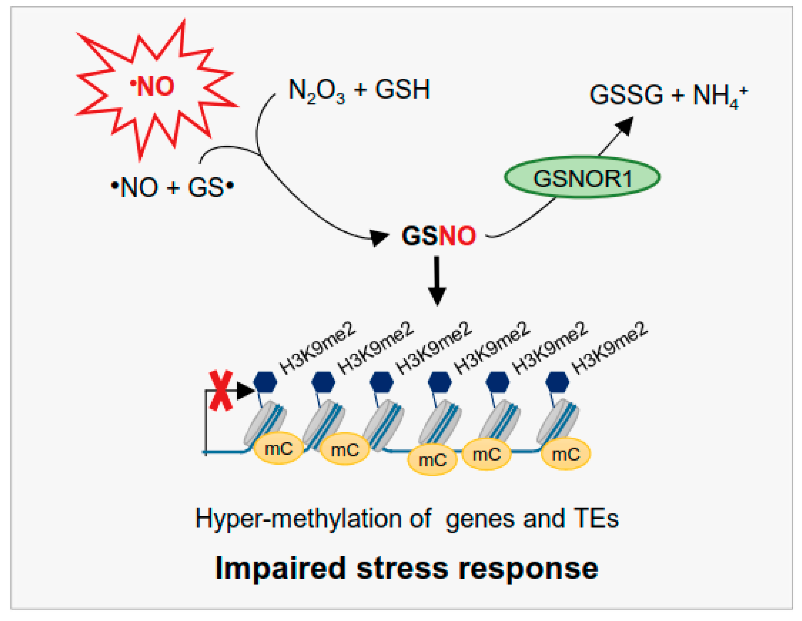 Antioxidants 10 01128 g009