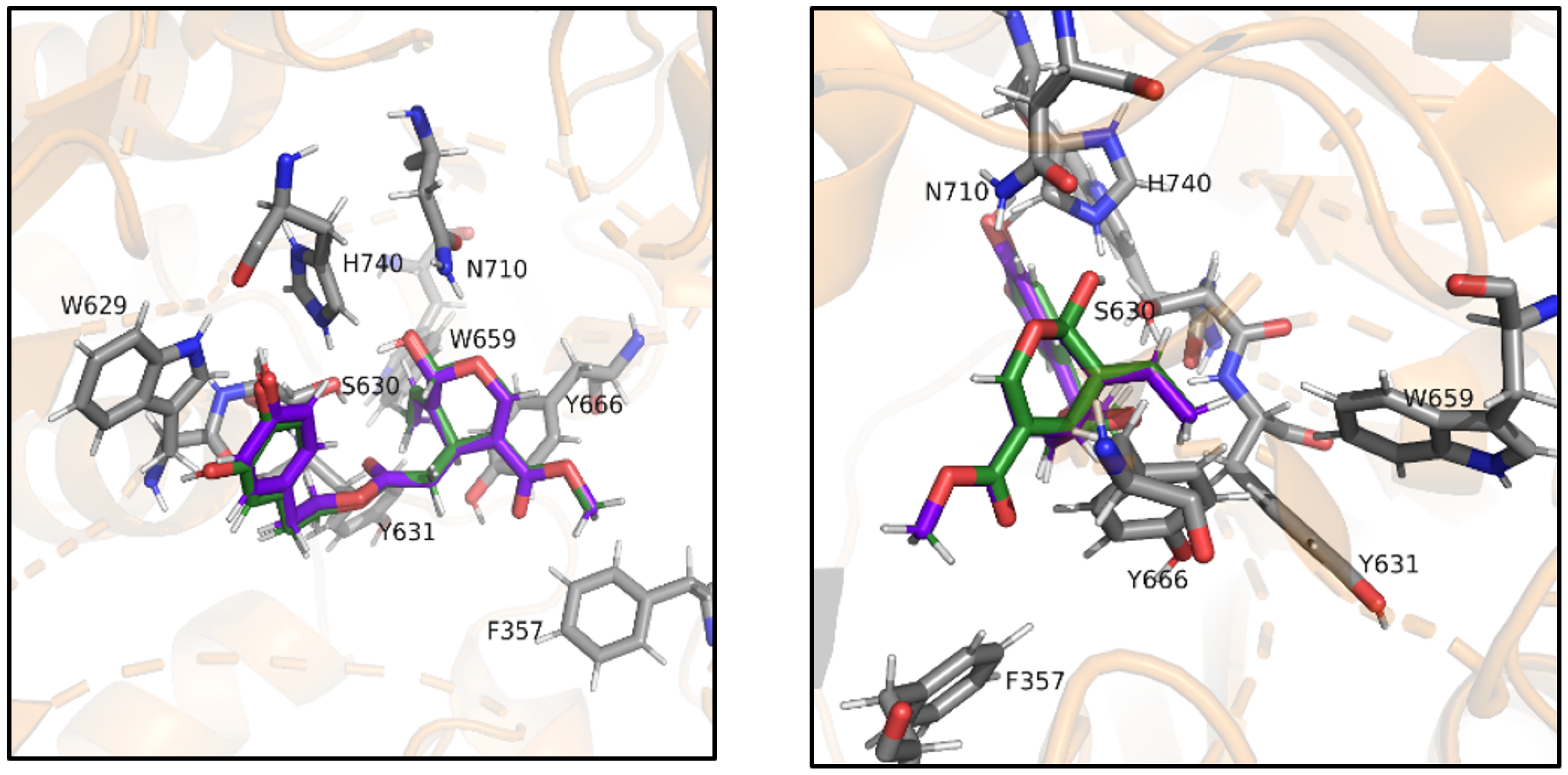 Antioxidants 10 01133 g004
