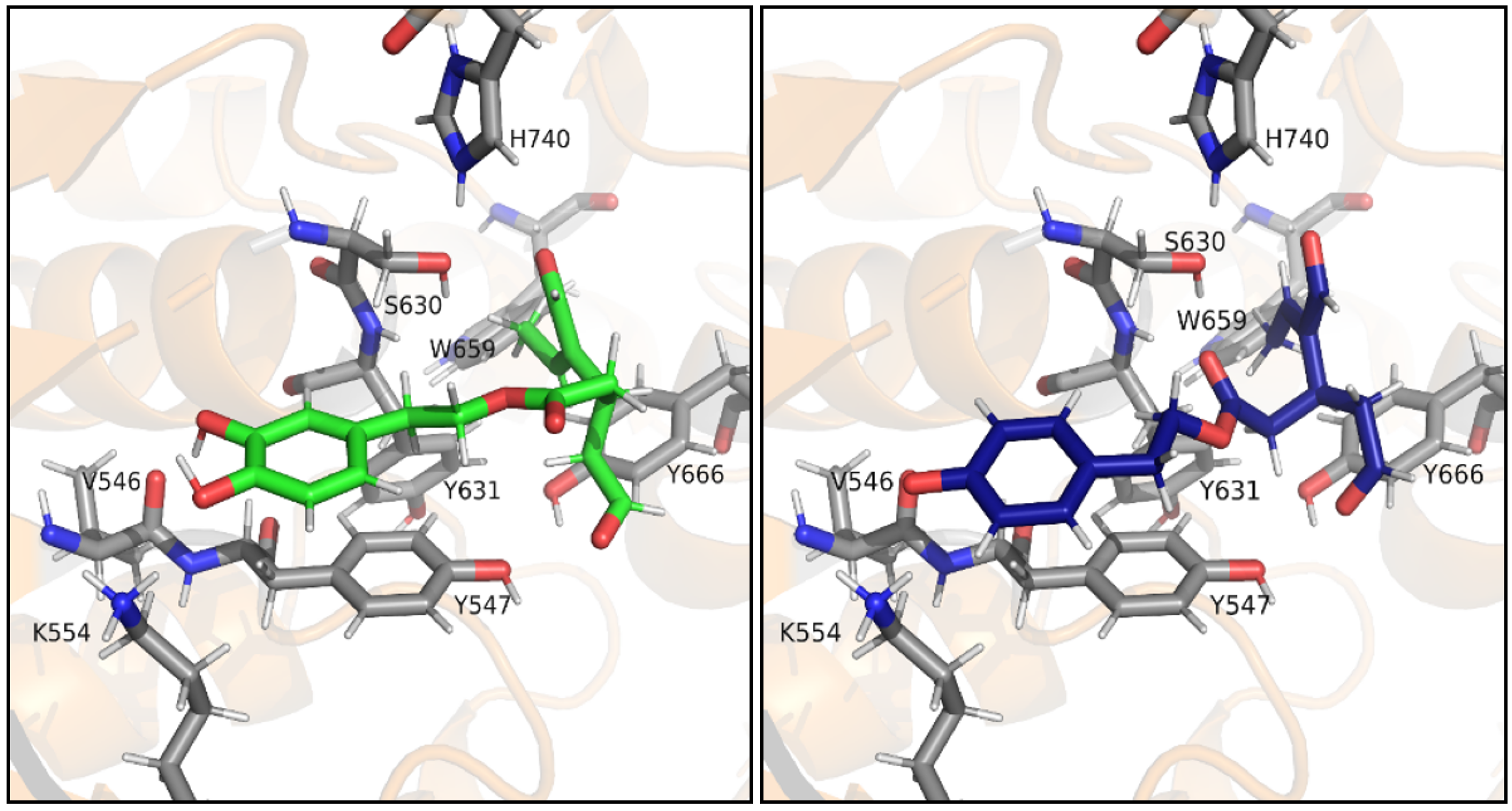 Antioxidants 10 01133 g005
