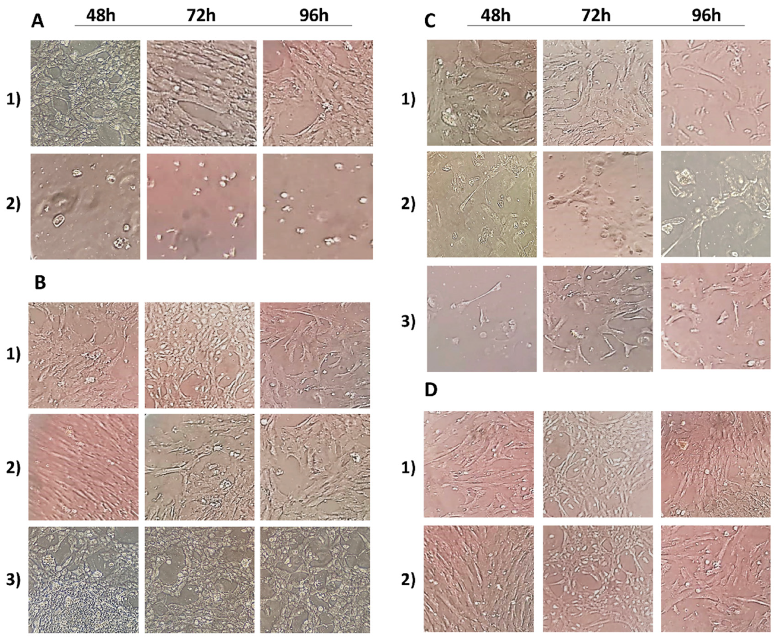 Antioxidants 10 01137 g001 Antioxidants 10 01137 g001