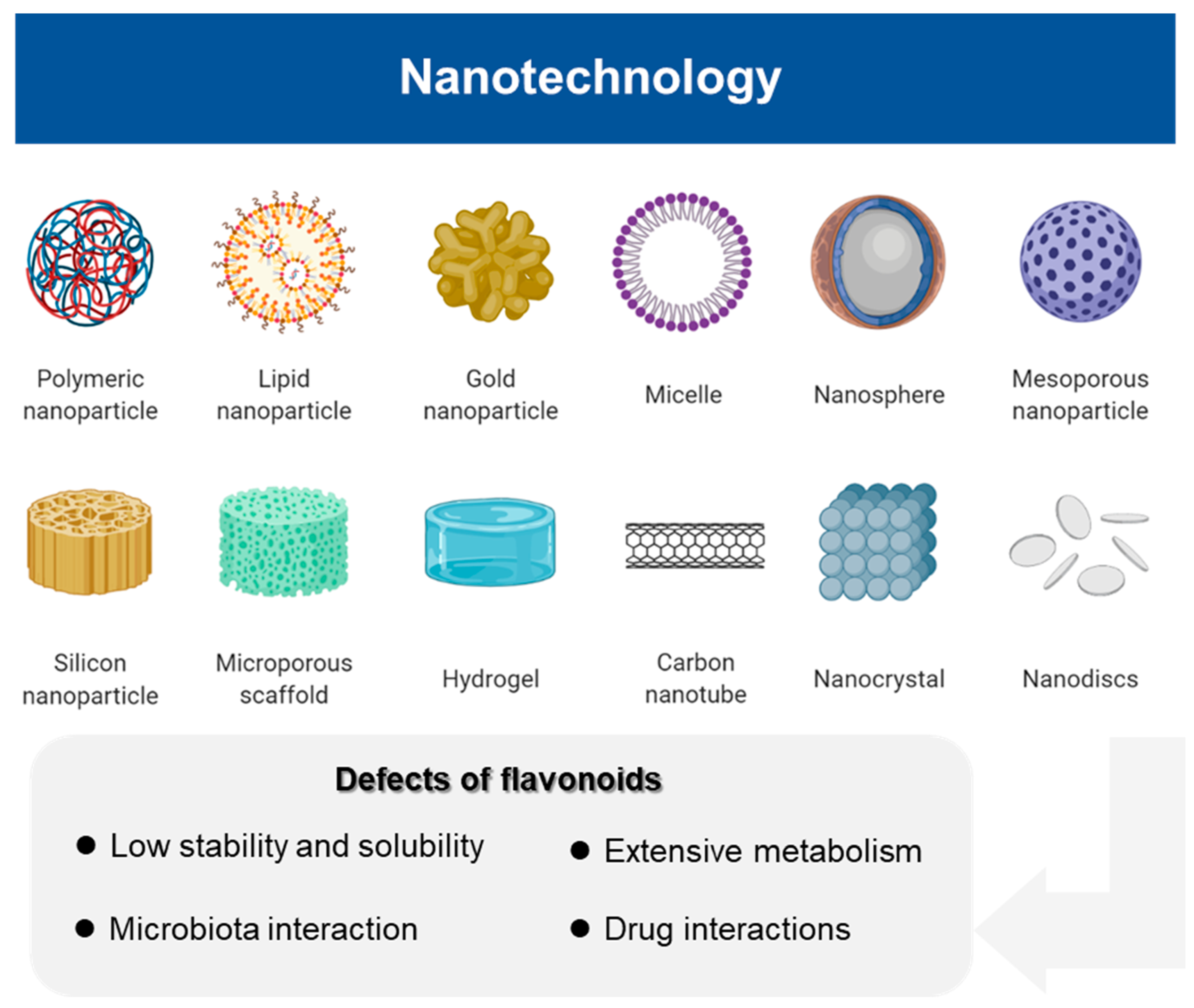 Antioxidants 10 01138 g003