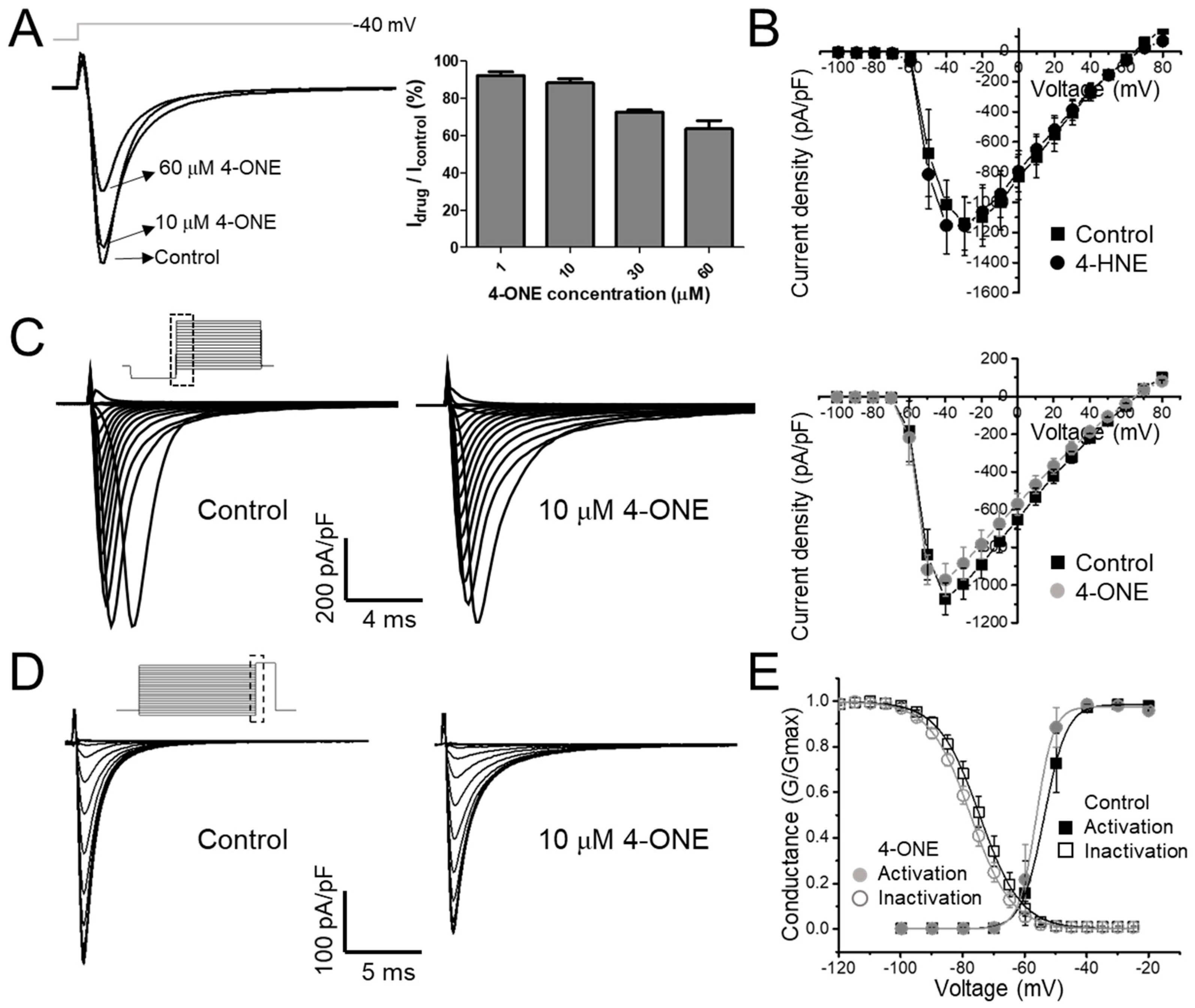 Antioxidants 10 01139 g001