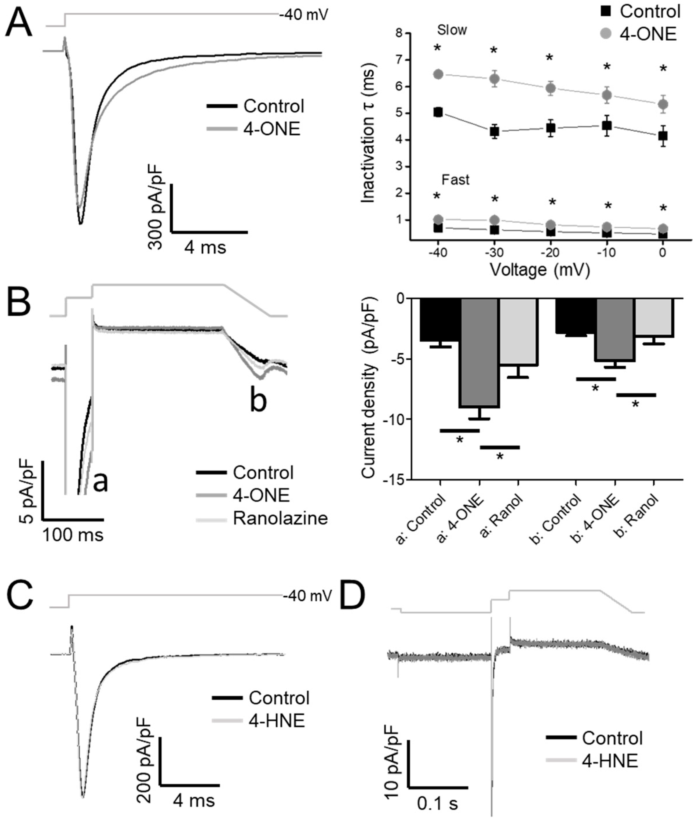 Antioxidants 10 01139 g002