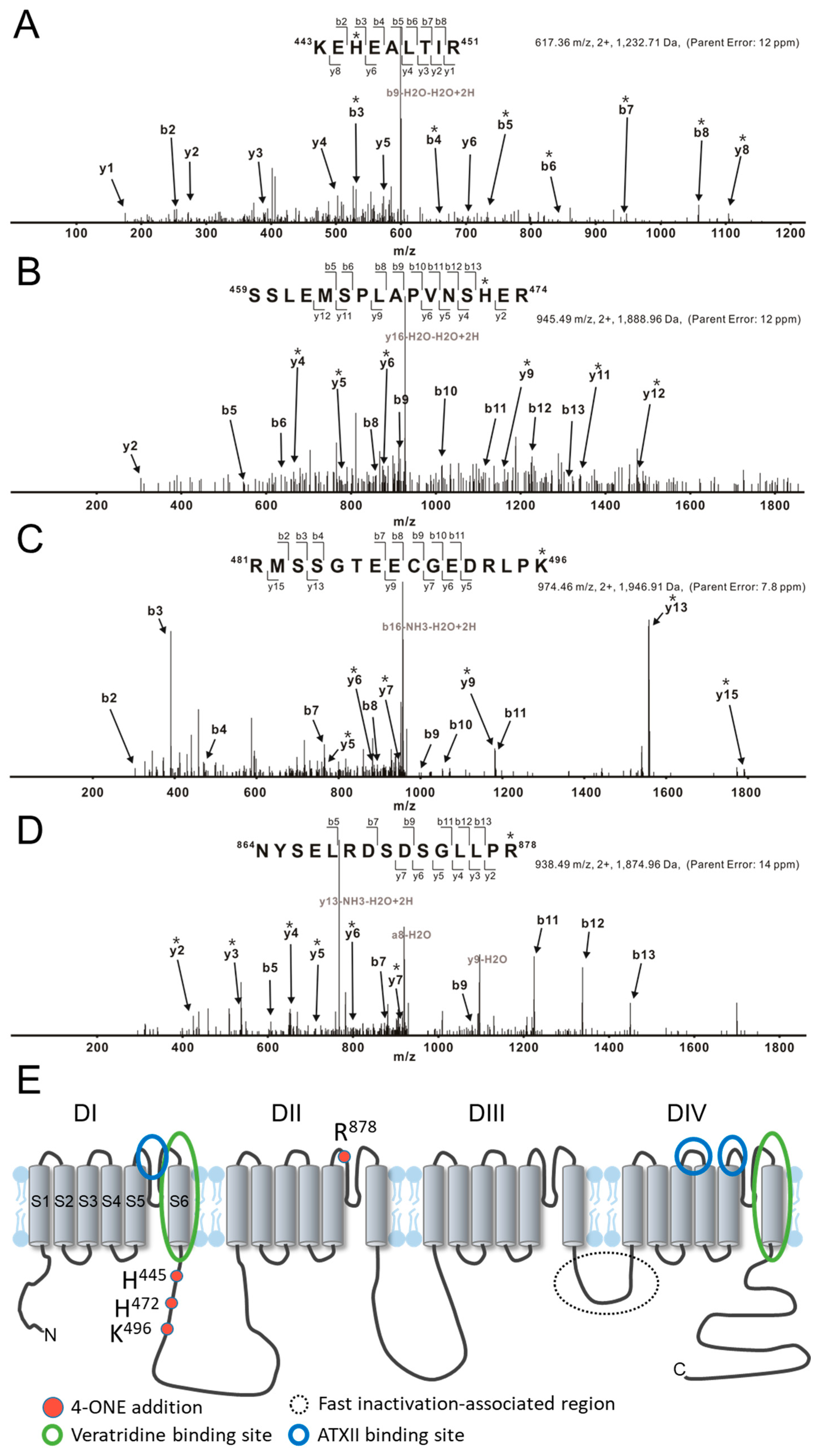 Antioxidants 10 01139 g003