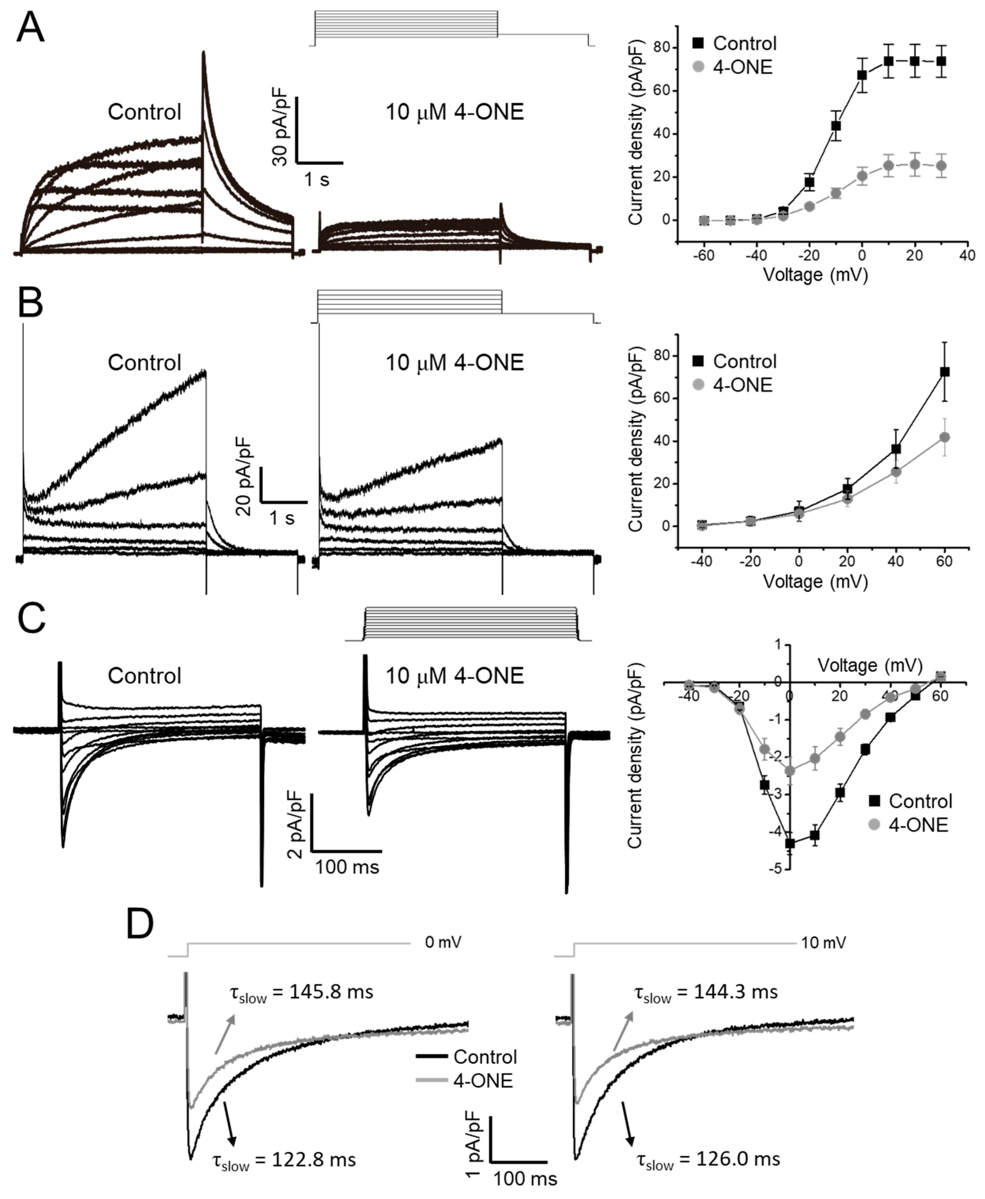 Antioxidants 10 01139 g004