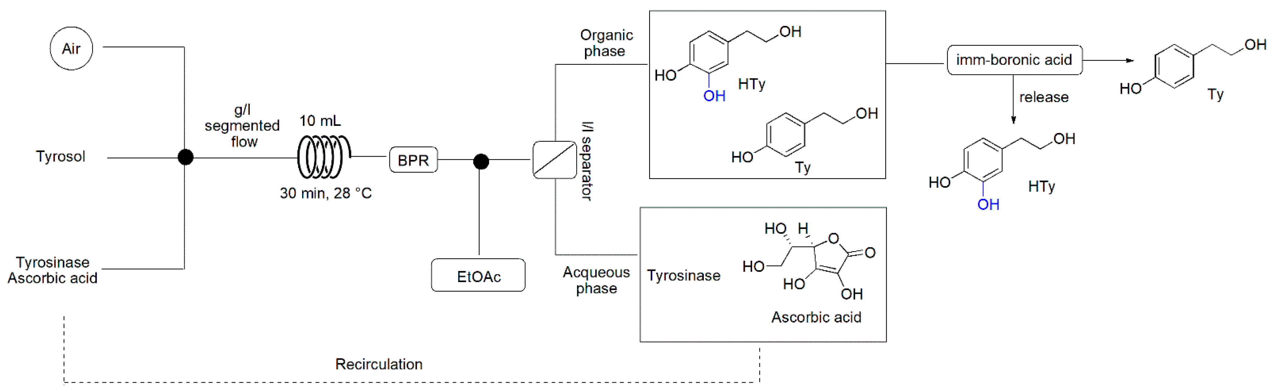 Antioxidants 10 01142 sch001