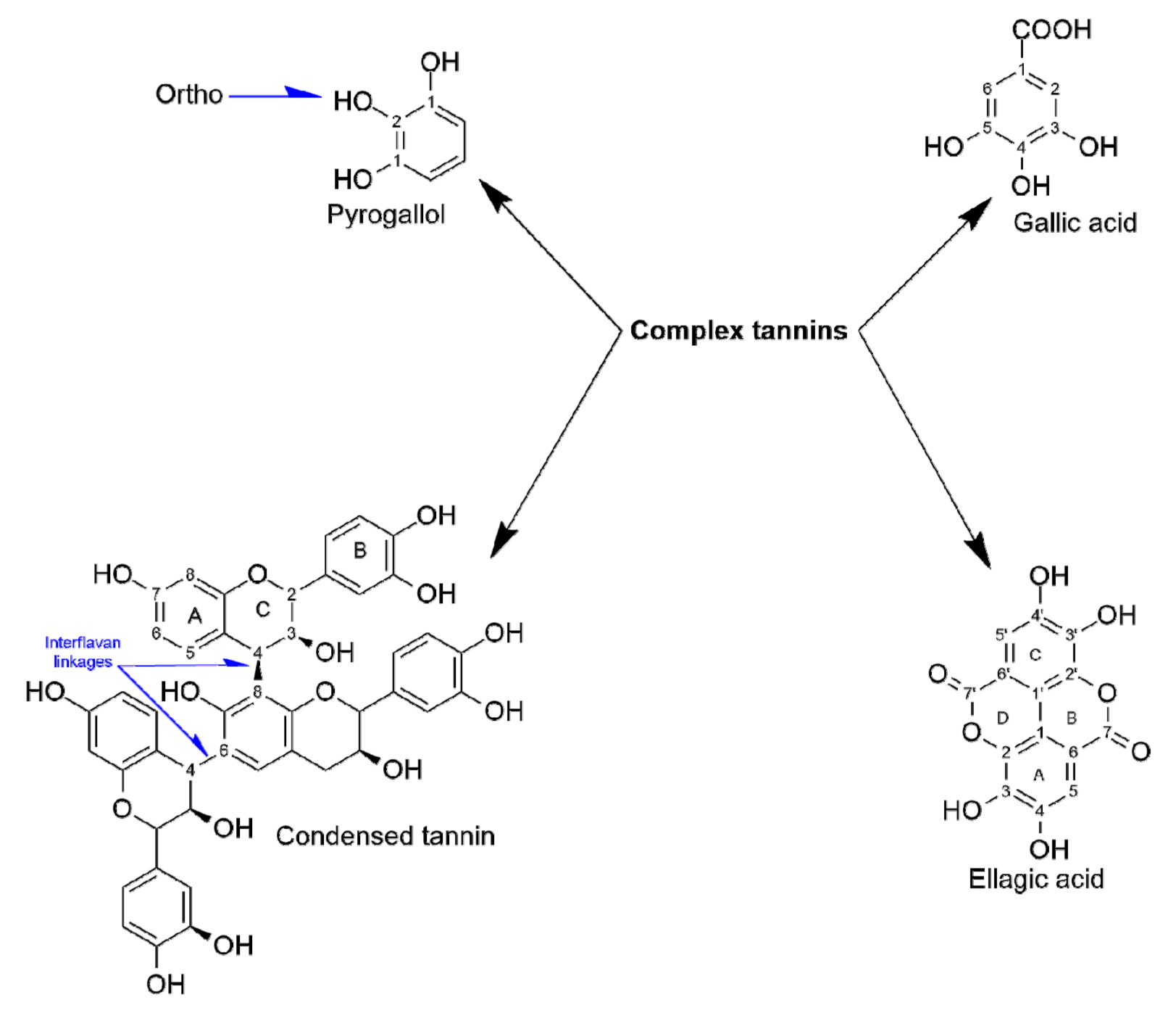 Antioxidants 10 01144 g004