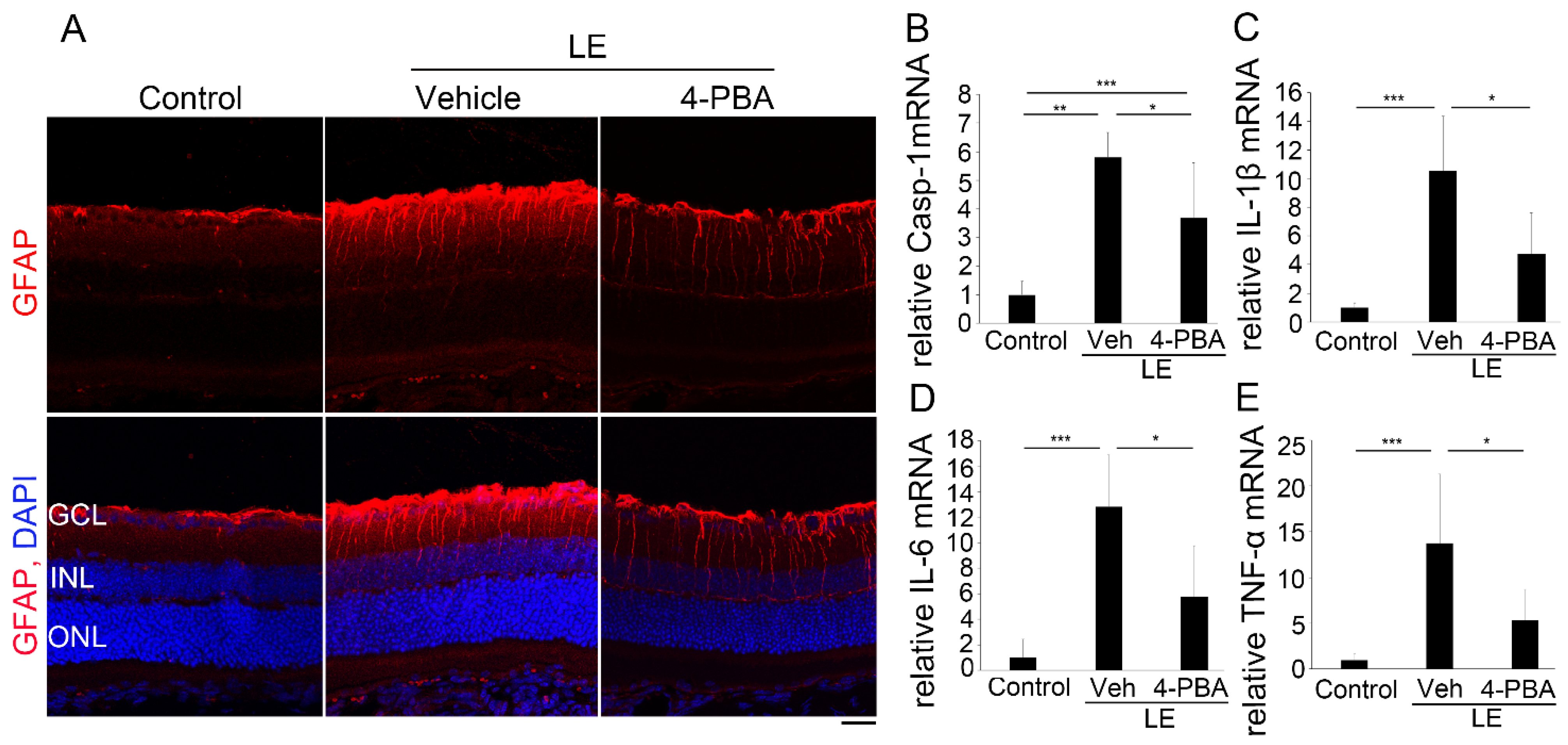 Antioxidants 10 01147 g005