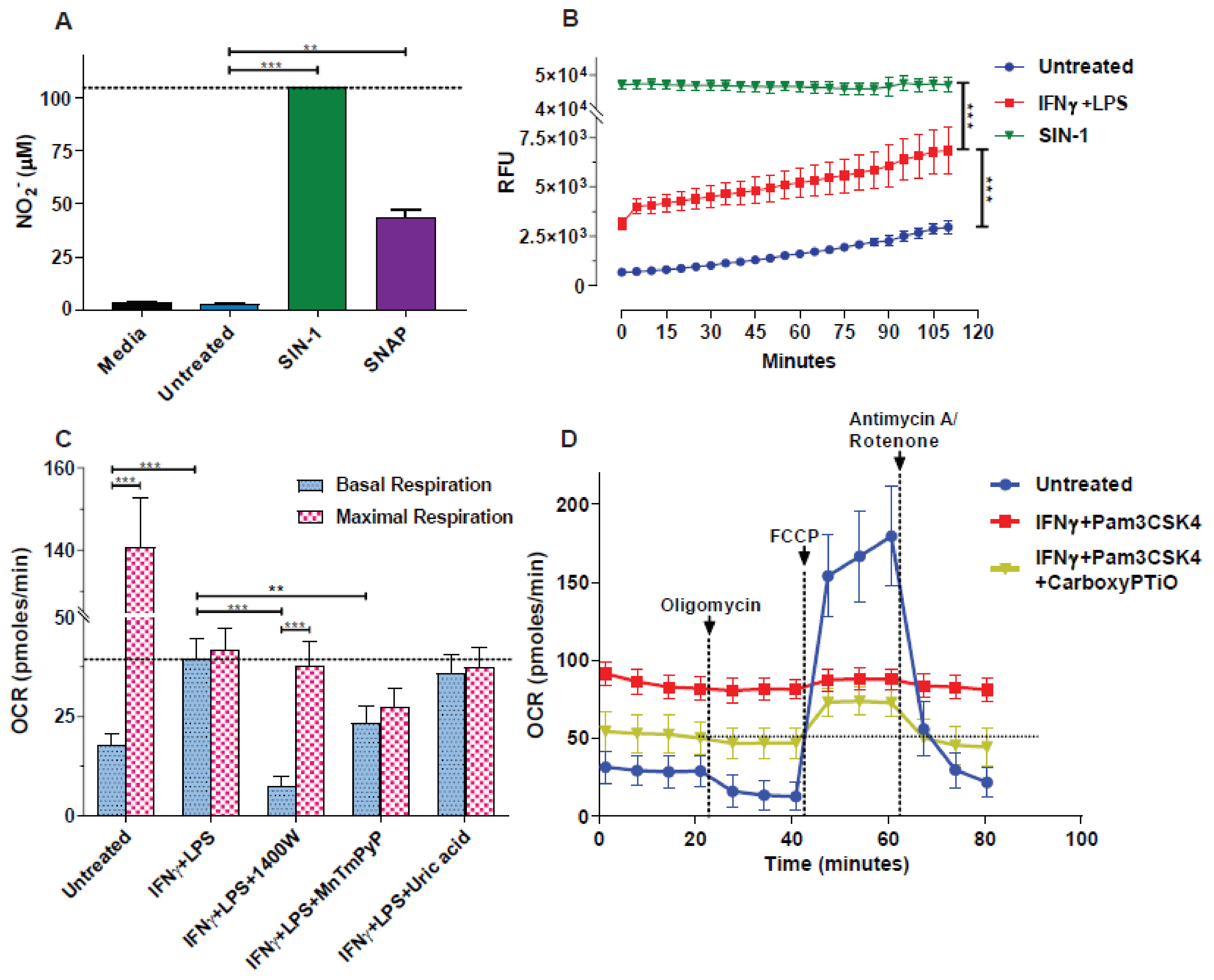 Antioxidants 10 01149 g002