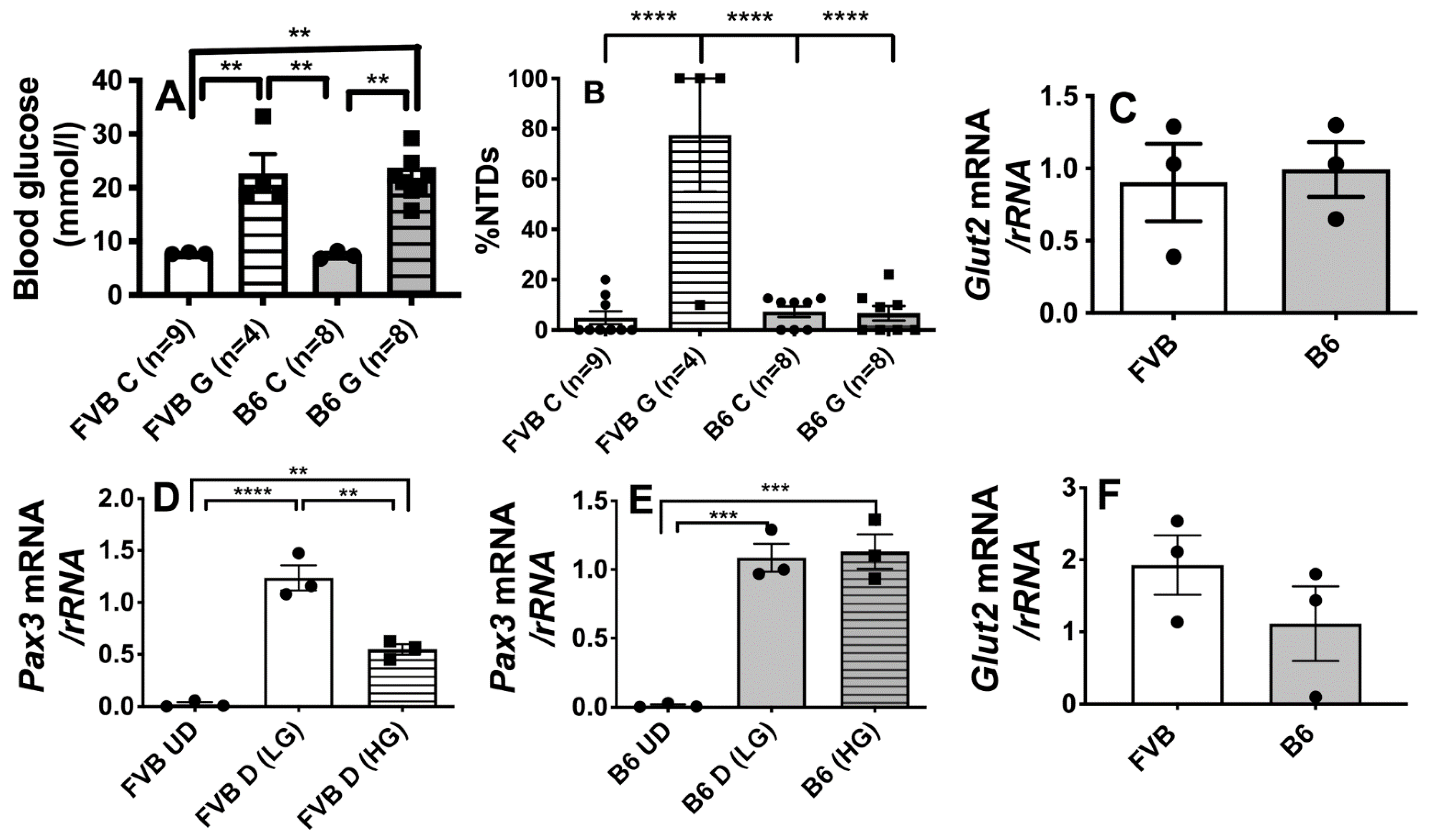 Antioxidants 10 01156 g001