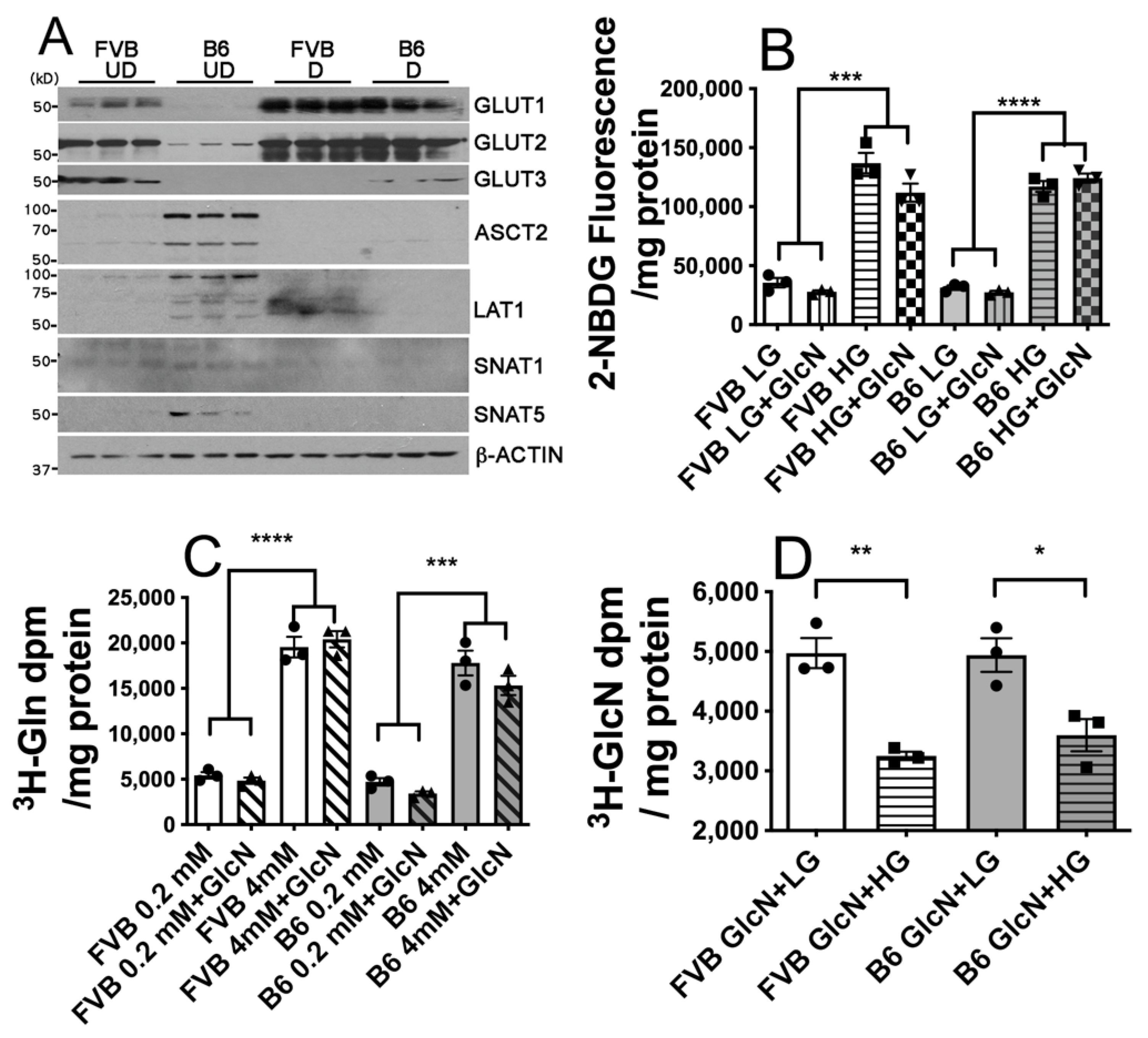 Antioxidants 10 01156 g002