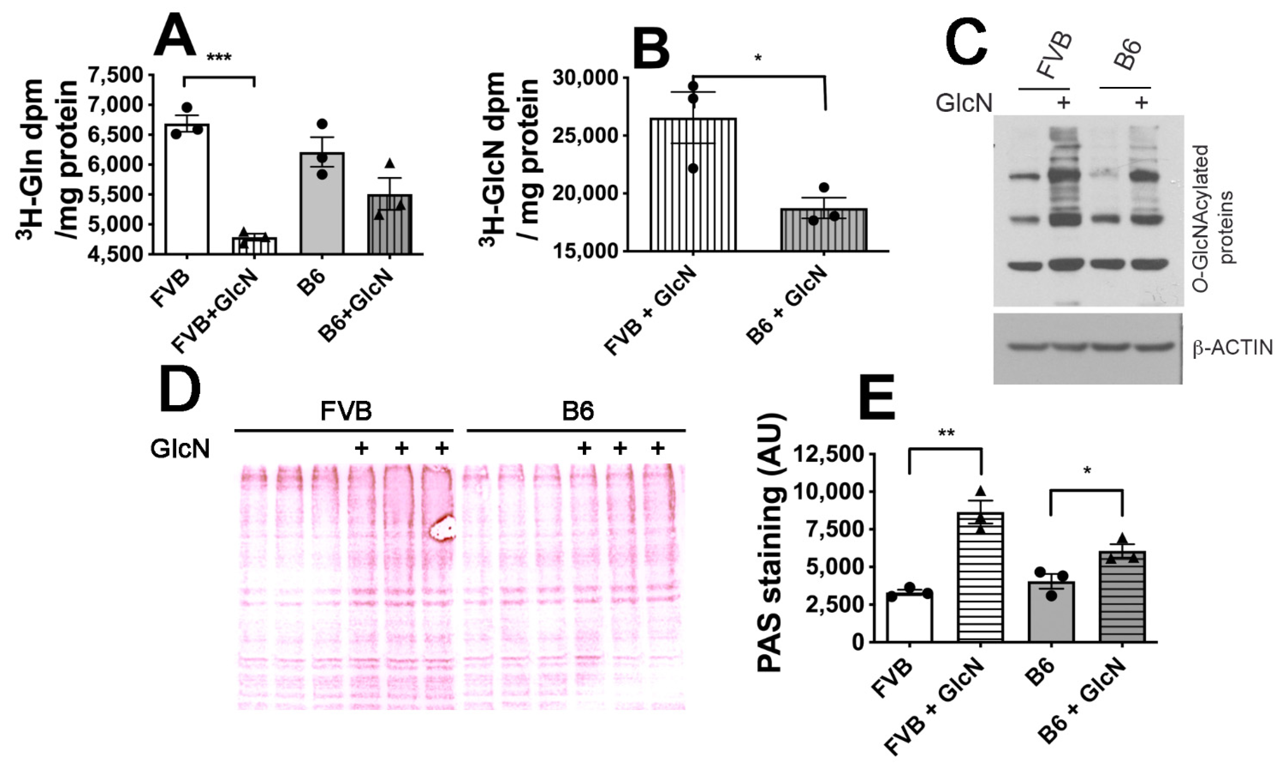 Antioxidants 10 01156 g003