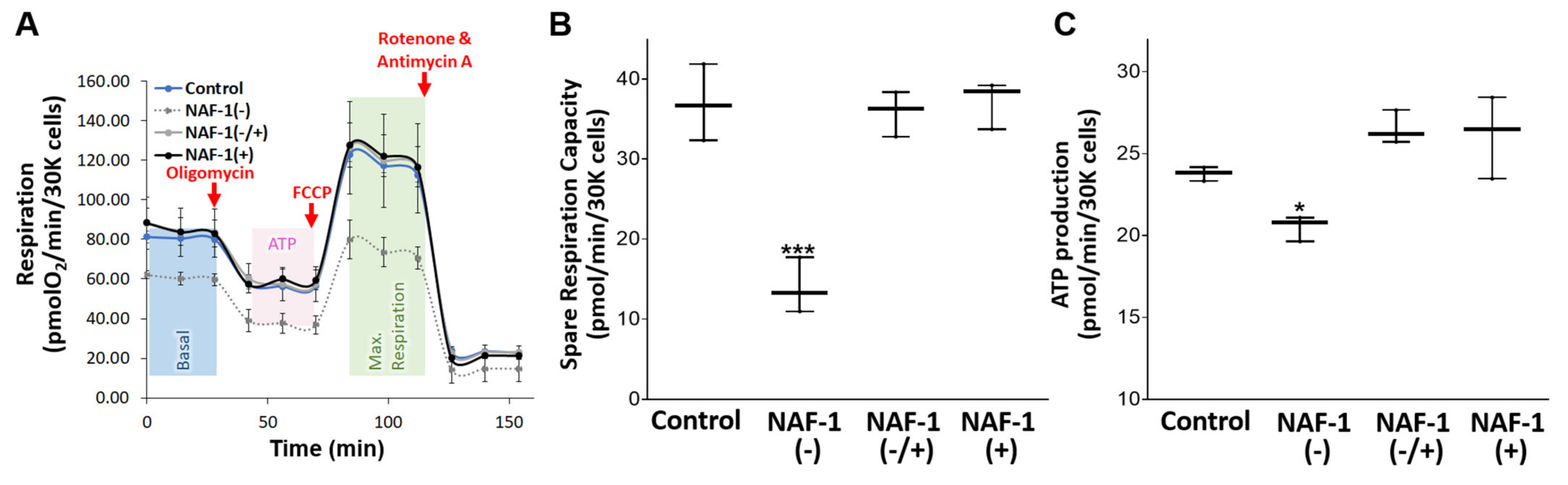 Antioxidants 10 01160 g004