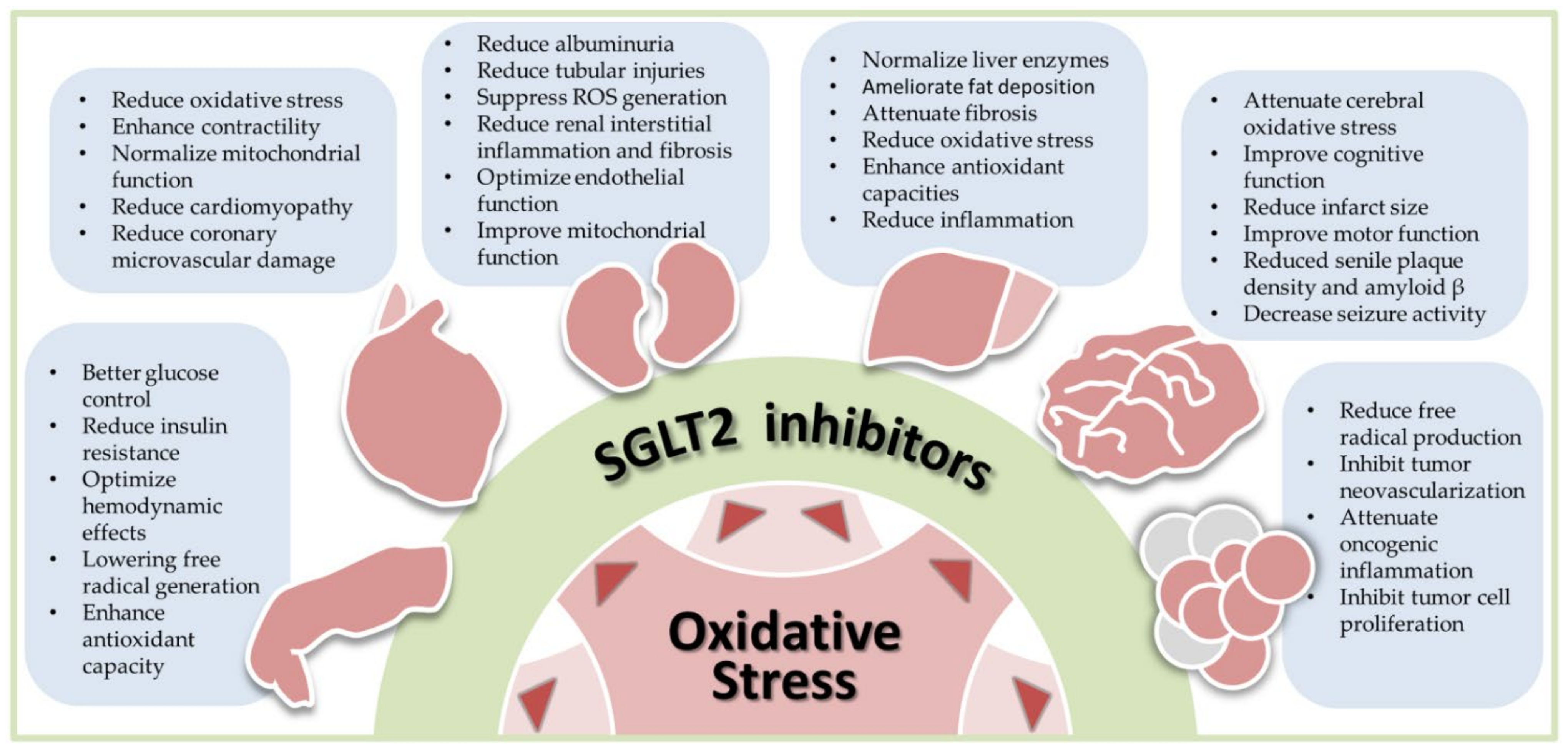 Antioxidants 10 01166 g001