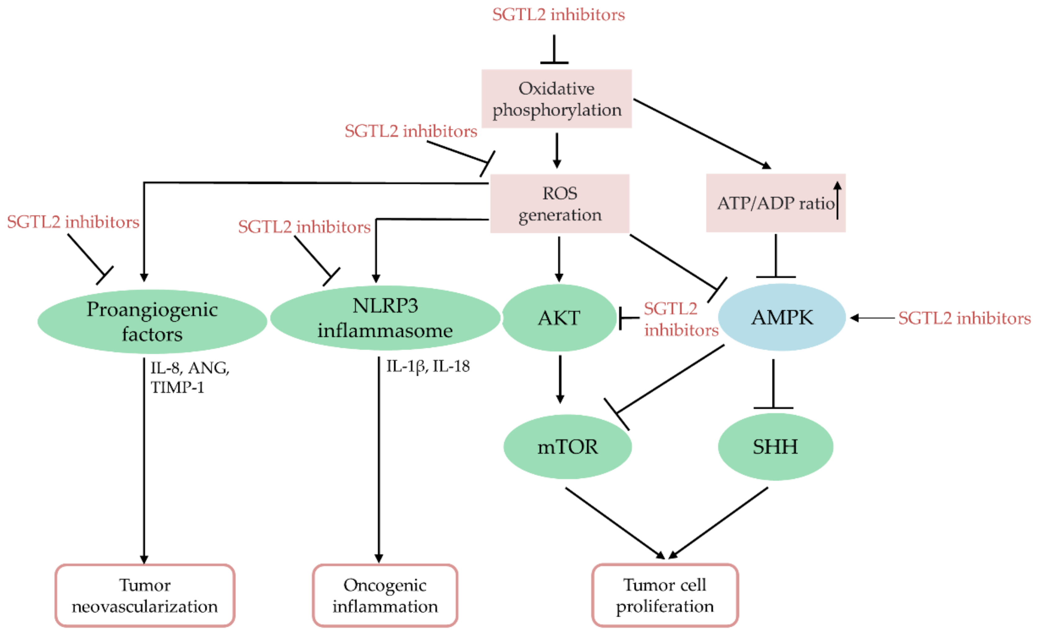 Antioxidants 10 01166 g003